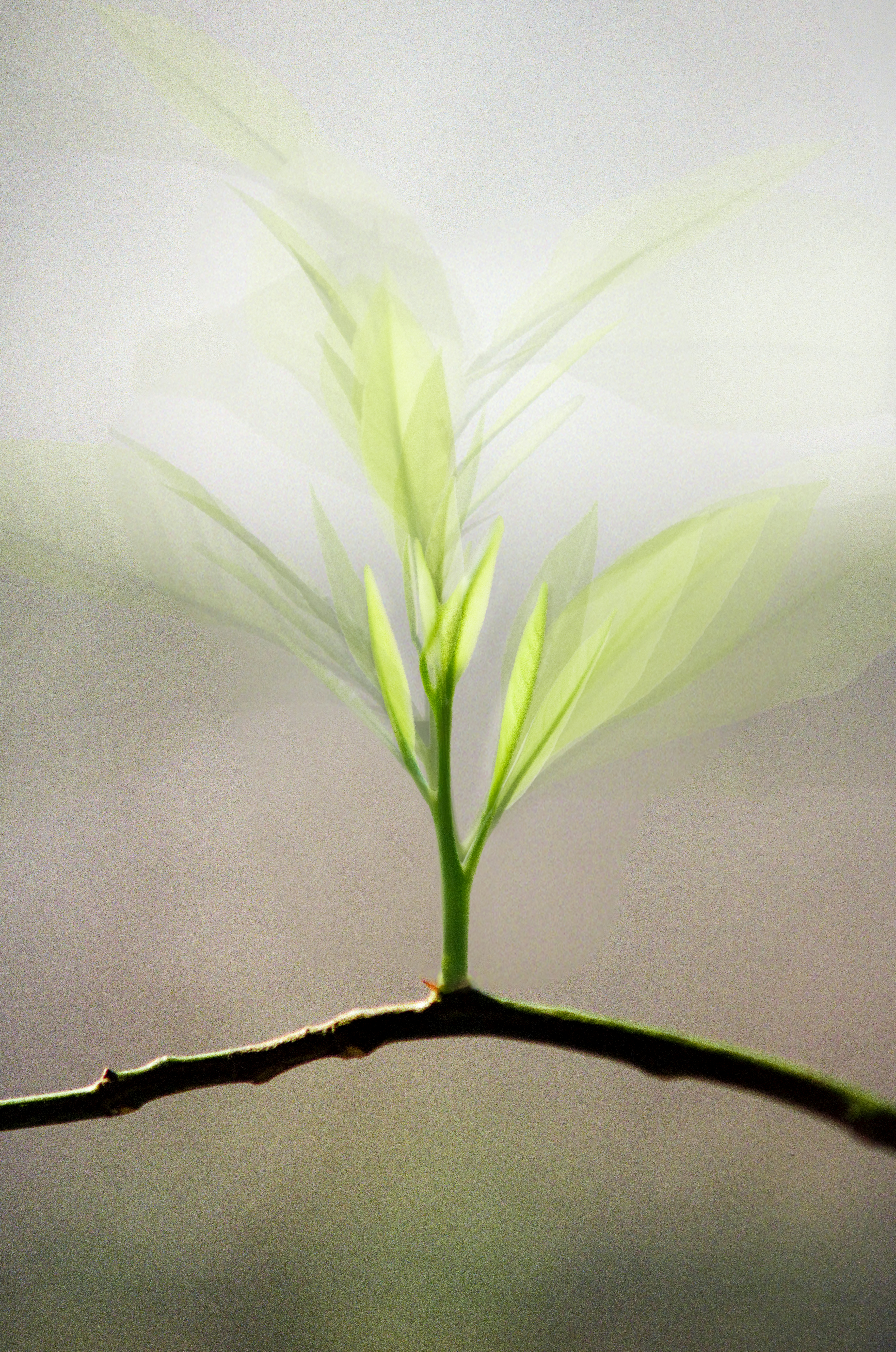 2026-06-beloved-camera-and-inherited-time-image-21