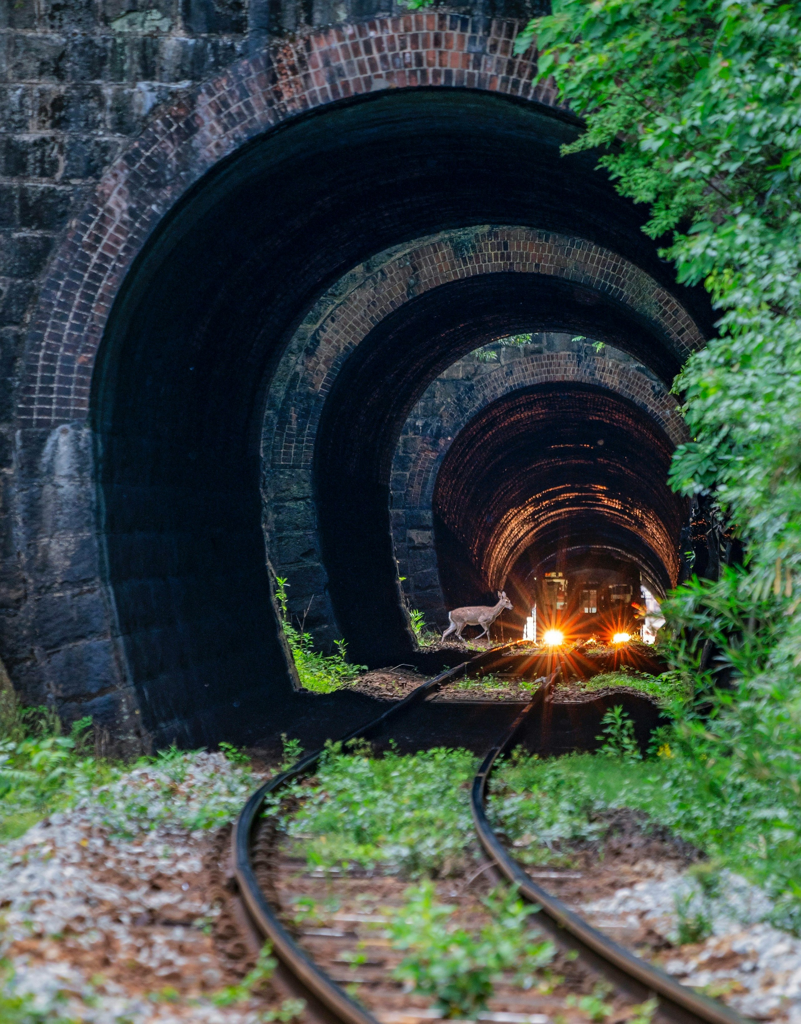 2024-08-fantastic-tunnels-image-15