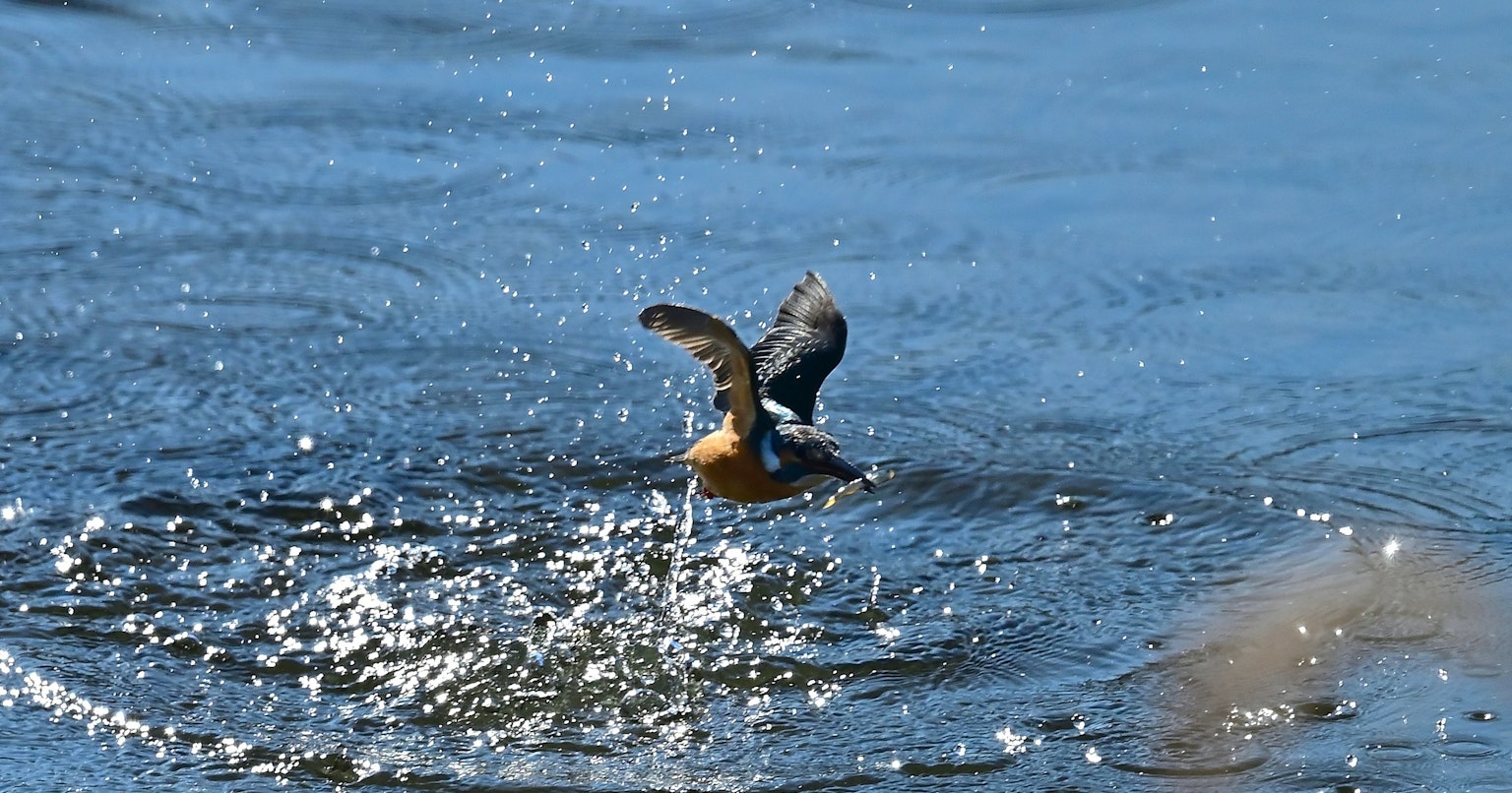 2024-11-motion-report-cover-image