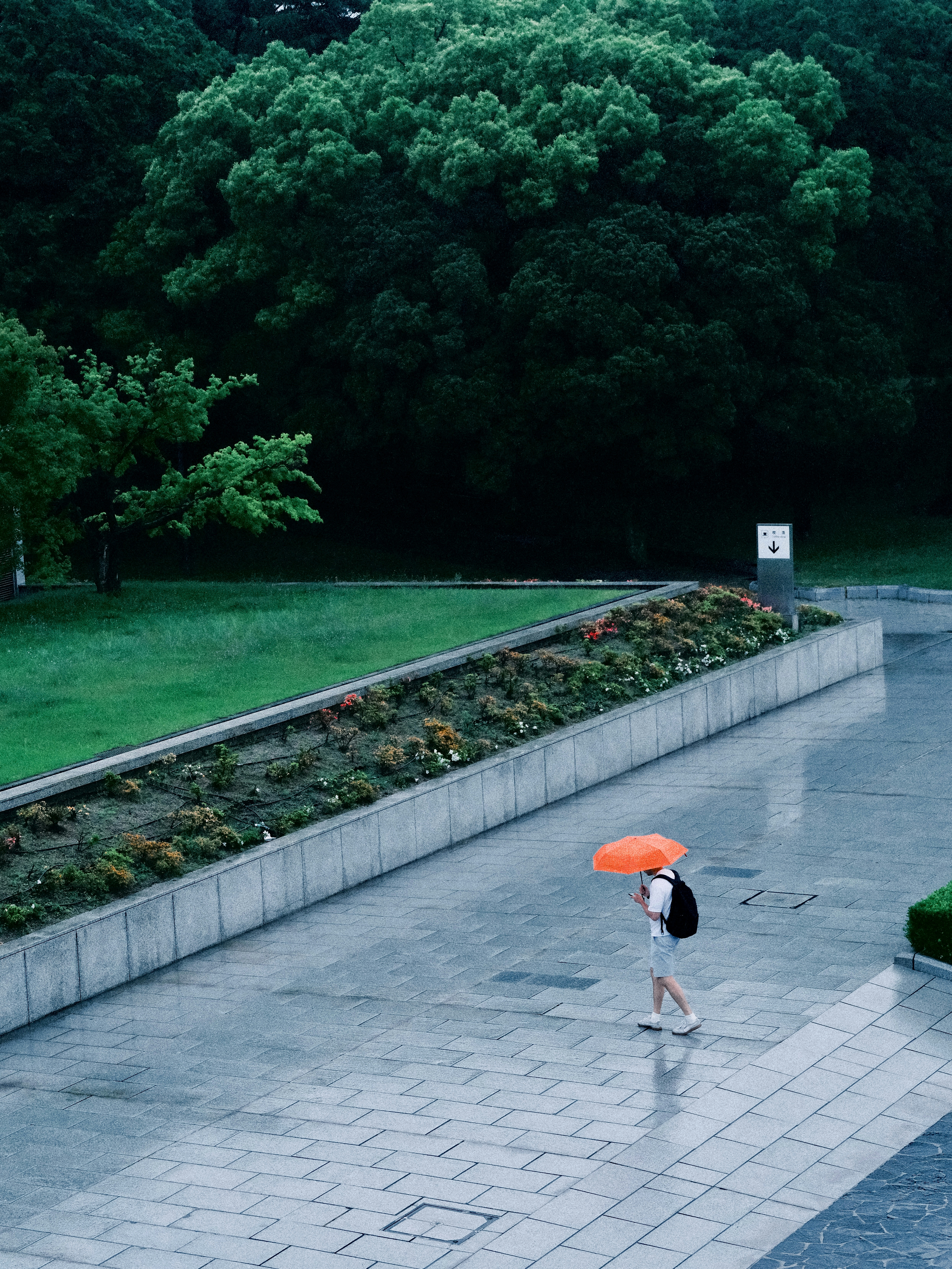 2026-07-find-new-pieces-fujifilm-image-24