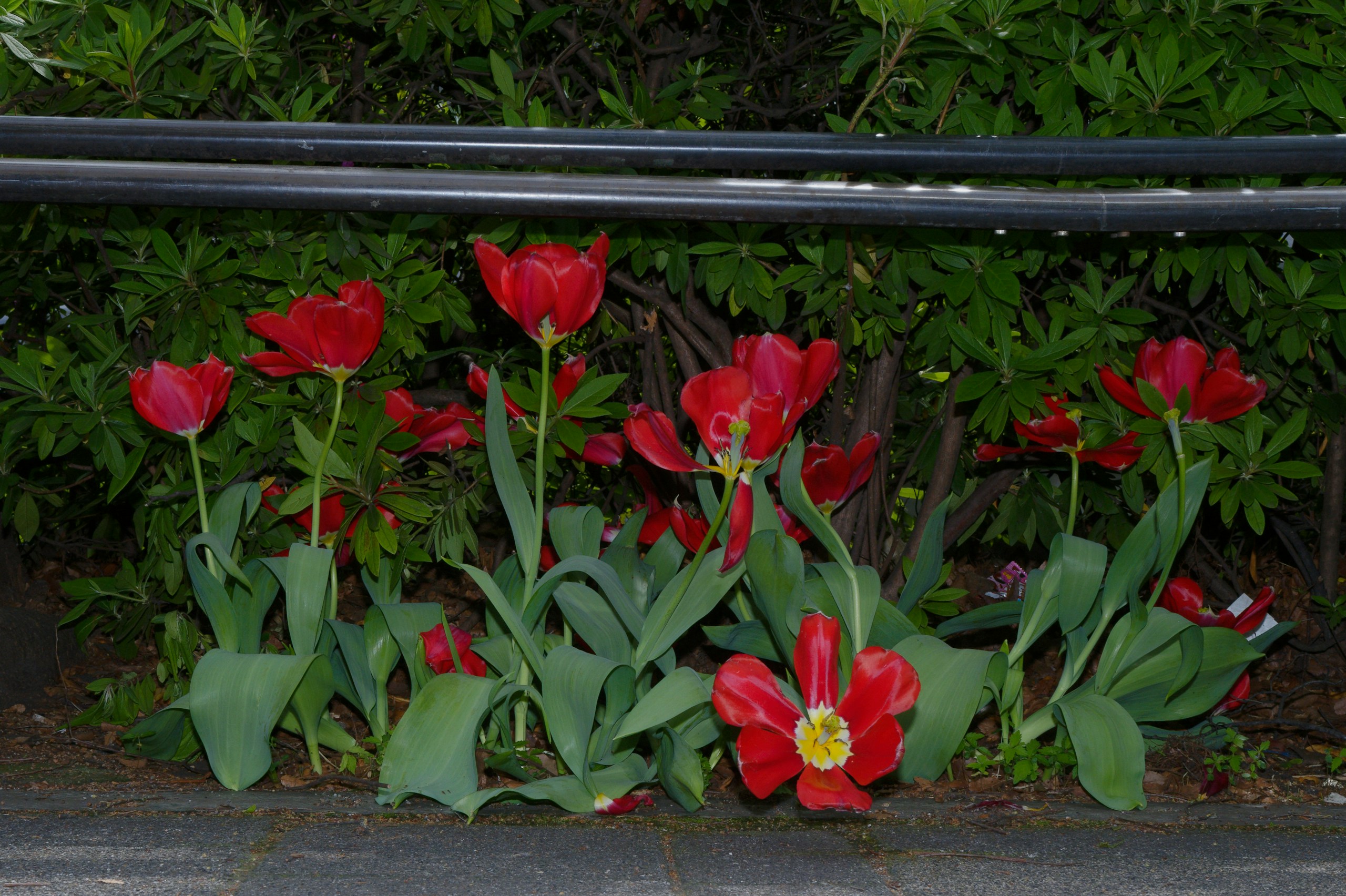 2024-05-daily-moments-image-9