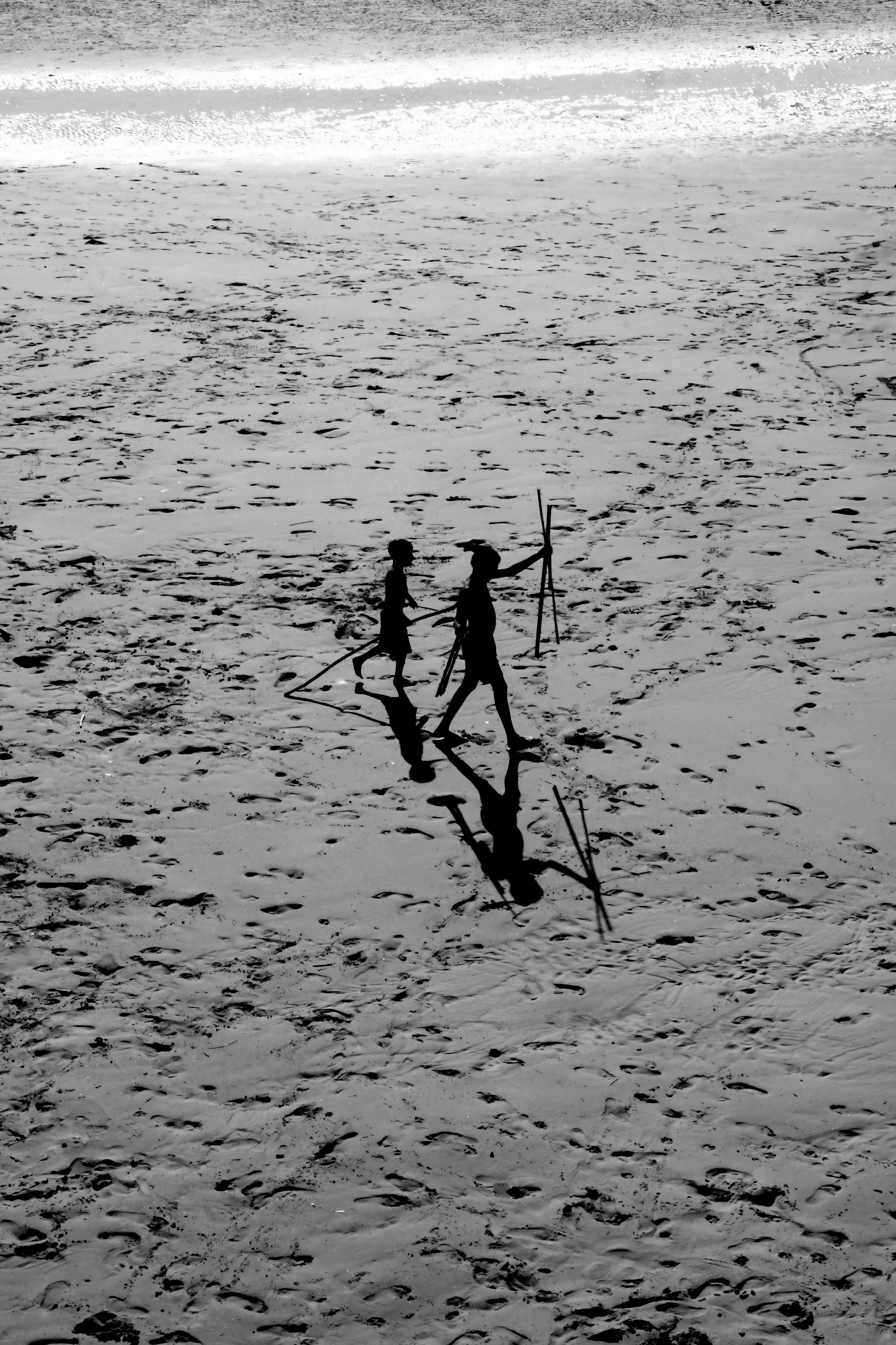 2026-02-shadows-of-light-award-image-10