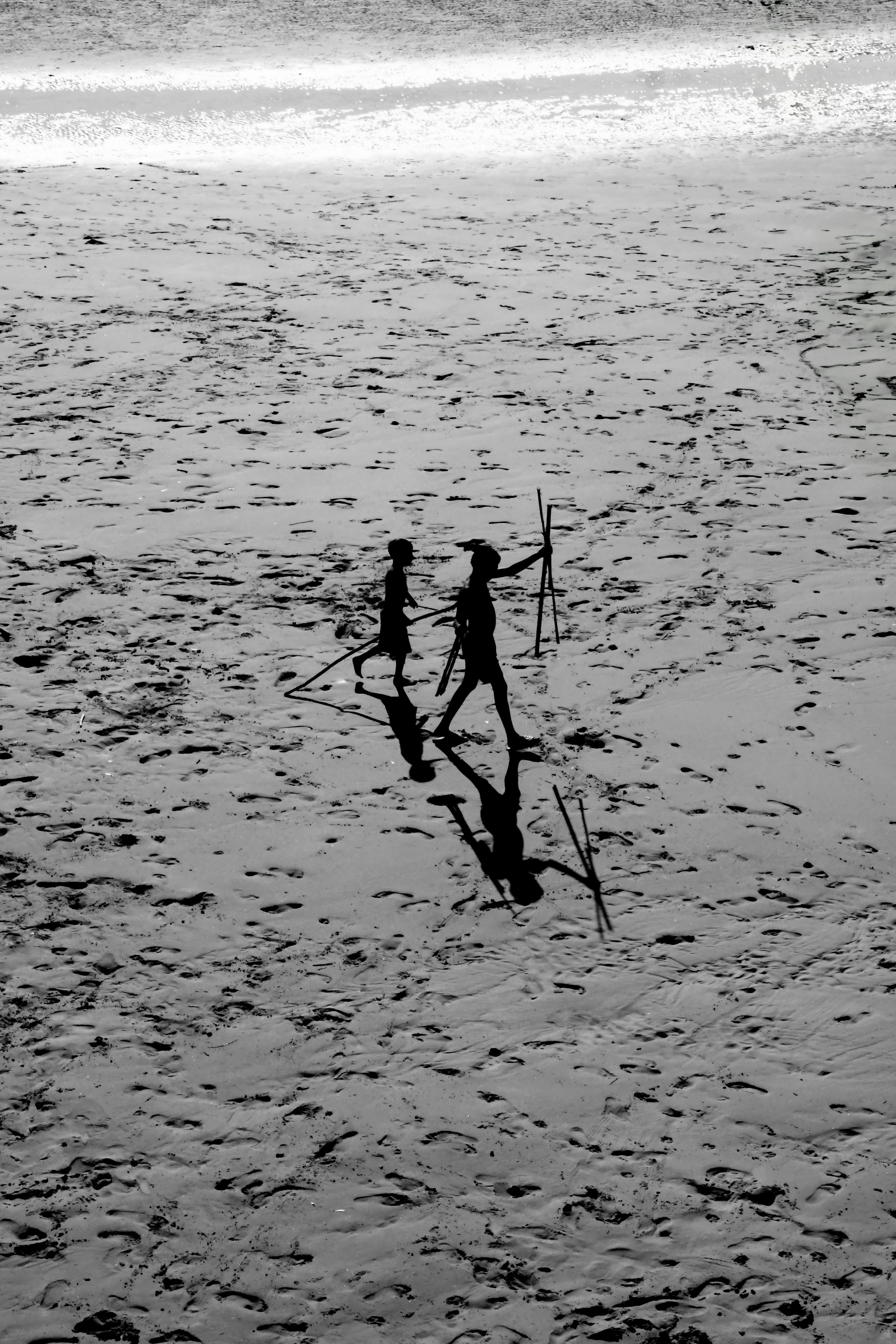 2026-02-shadows-of-light-award-image-10