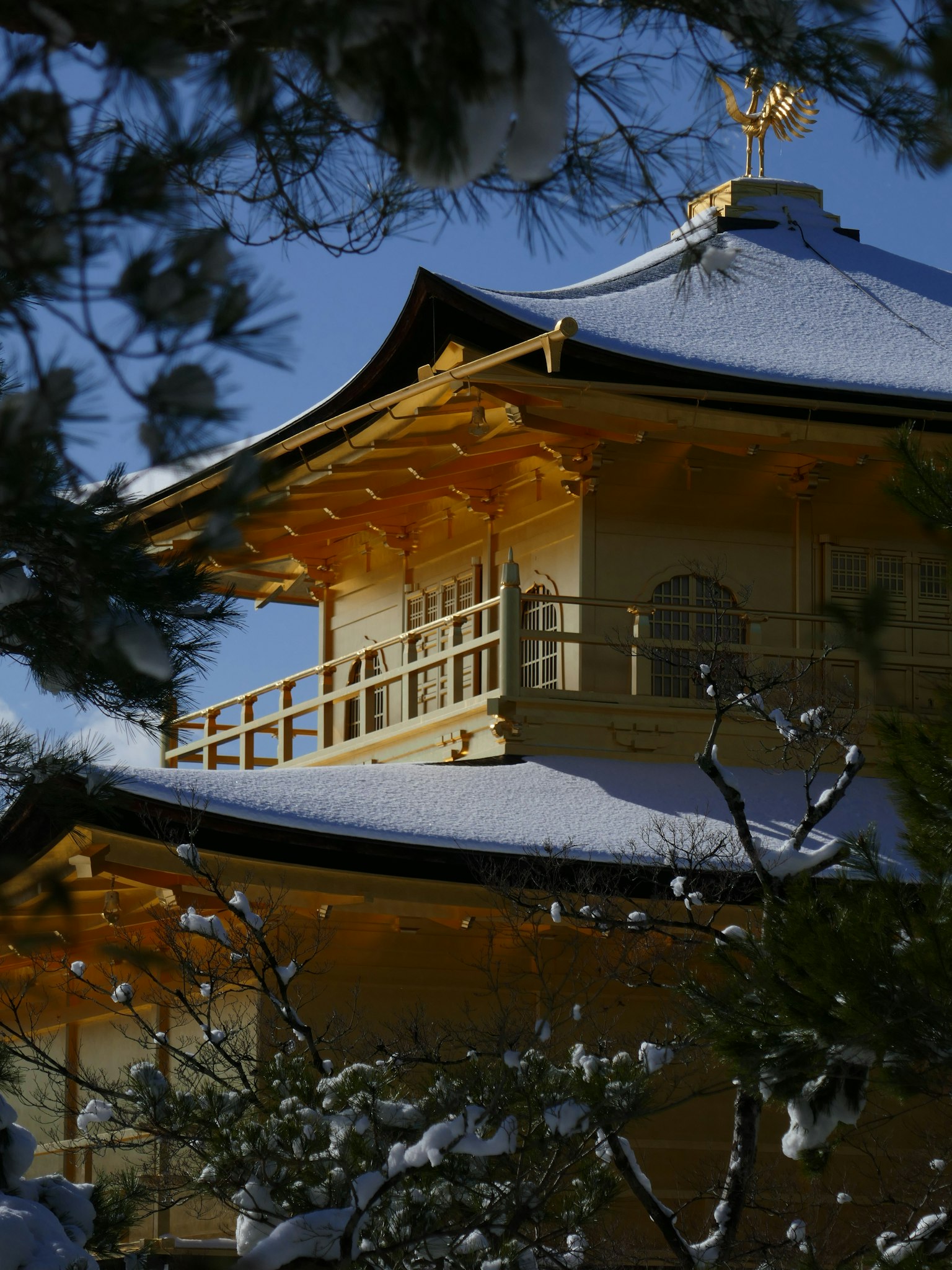 2023-12-meet-hot-kyoto-award-image-7