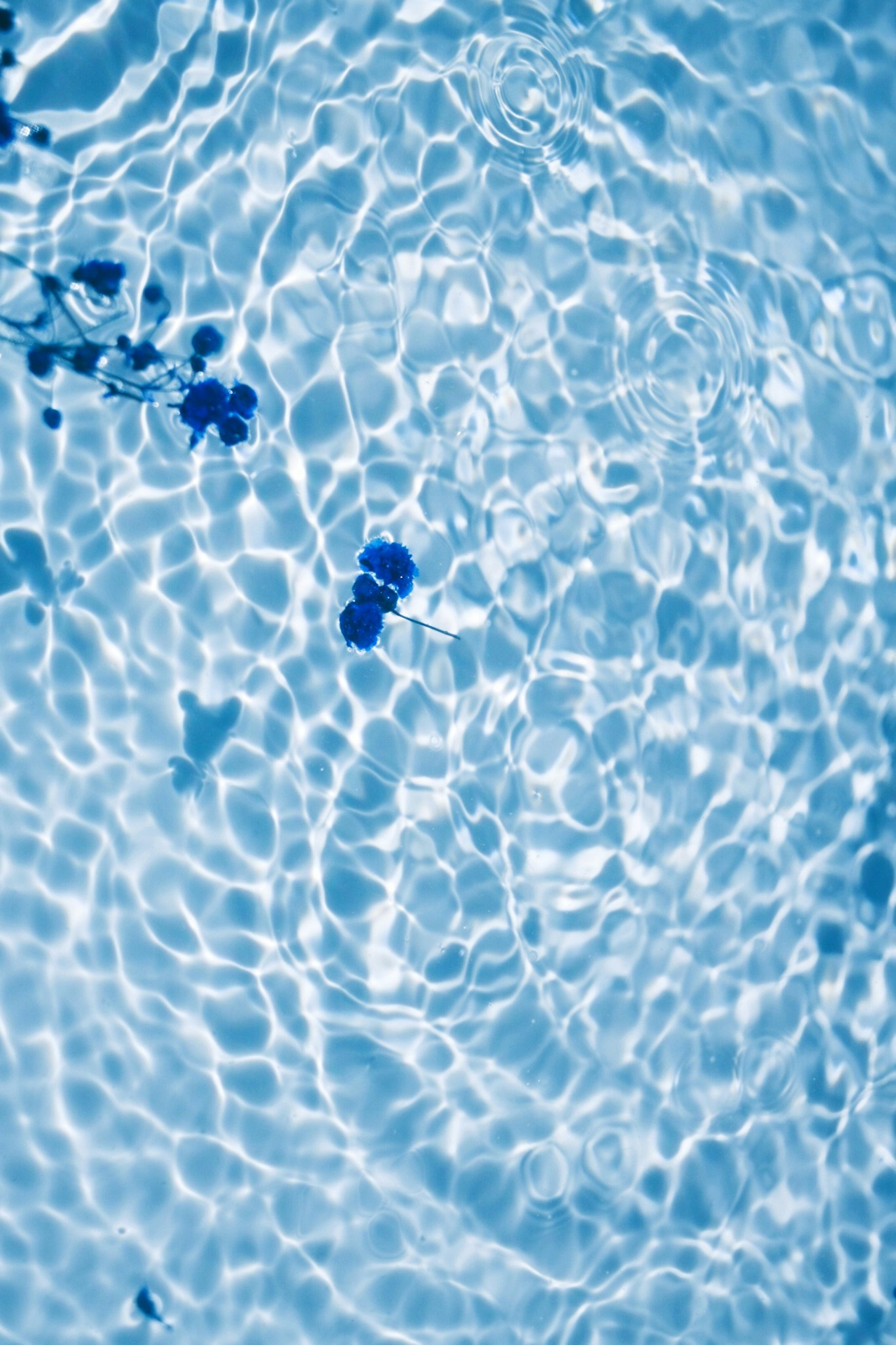 2026-03-pattern-image-6