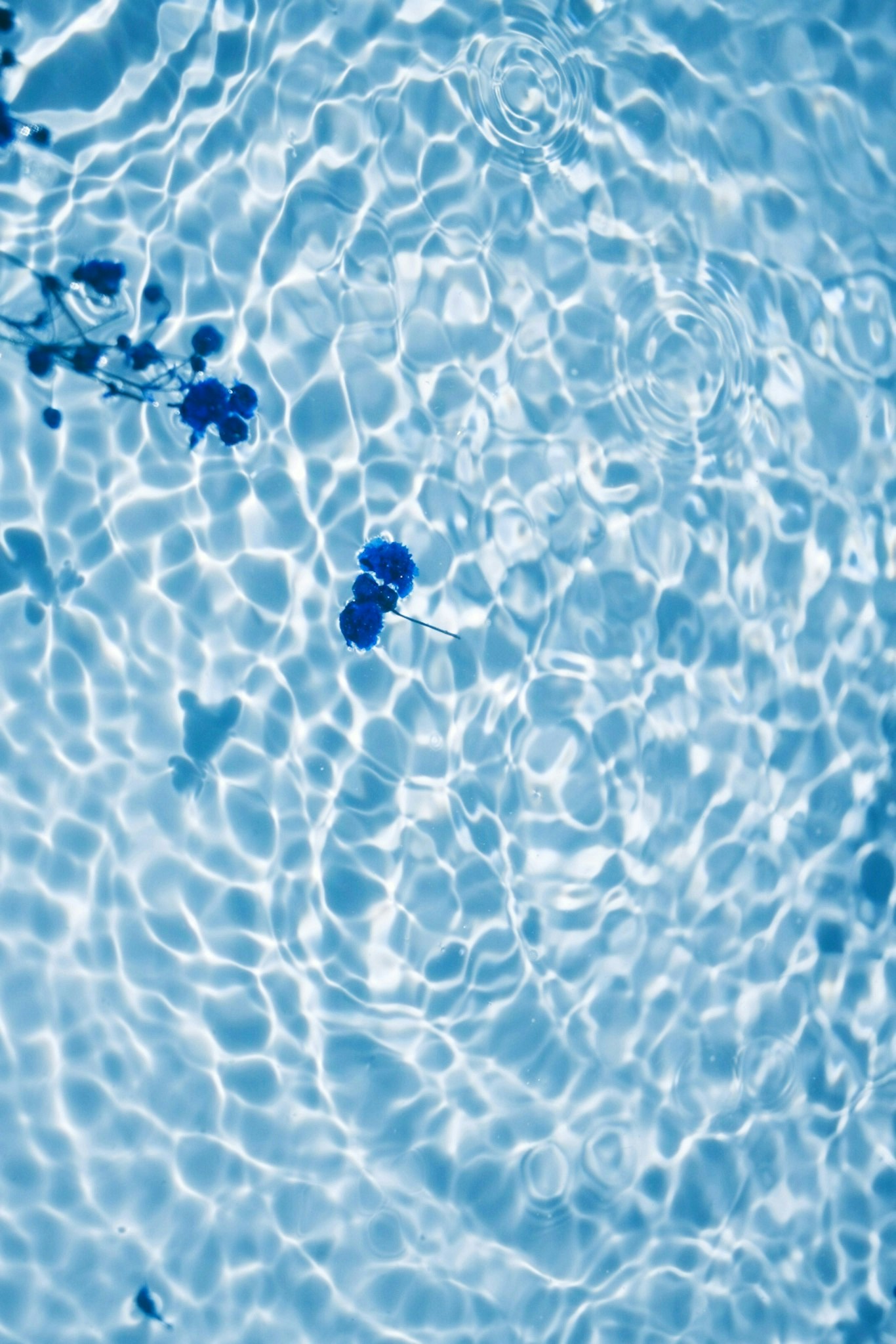 2026-03-pattern-image-6
