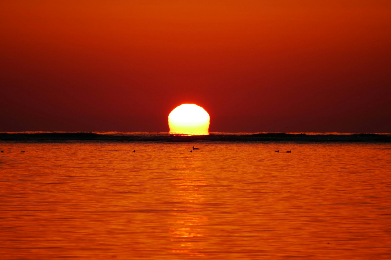 2025-04-miyuyu-lumix-dmc-g6-story-image-19