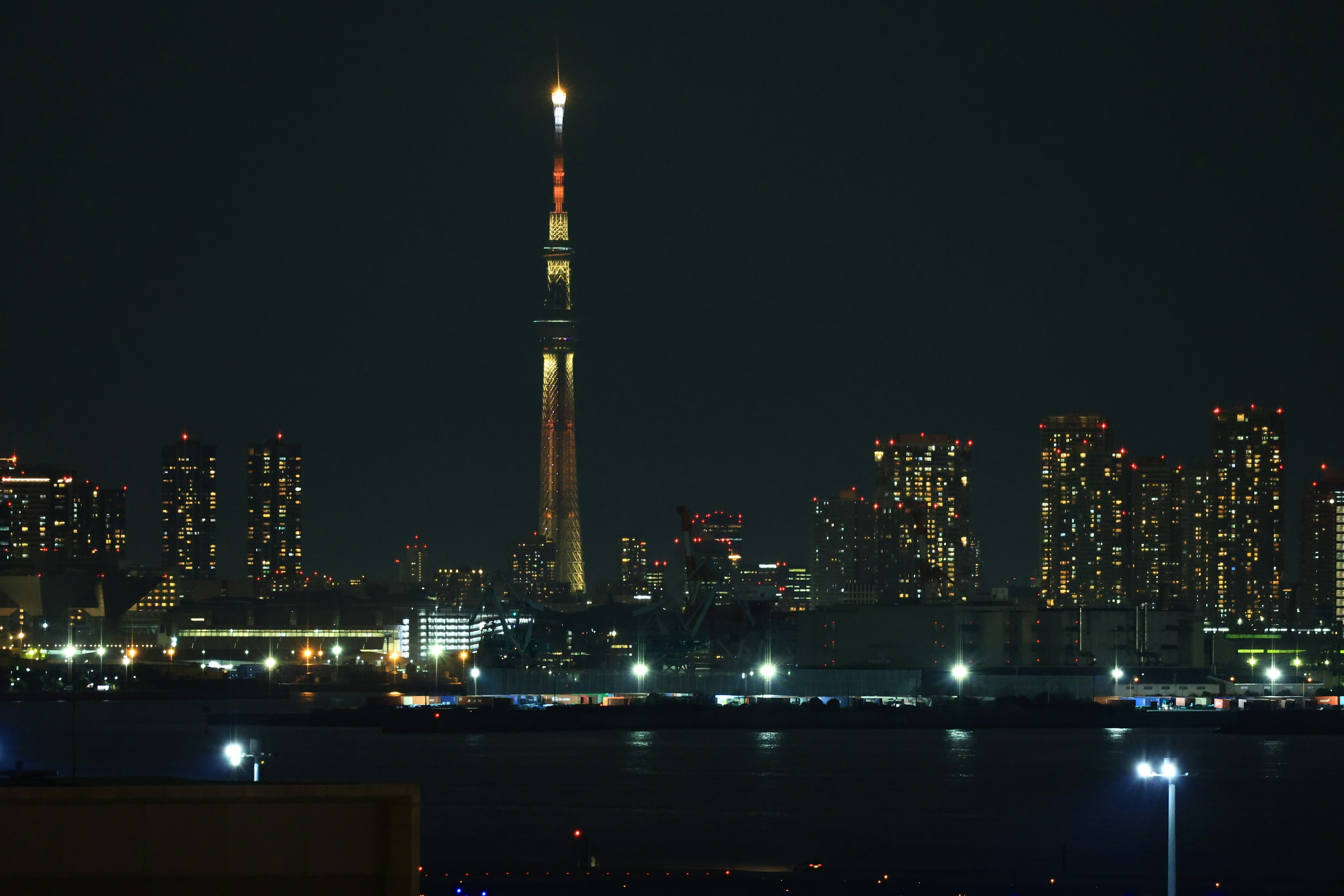 2024-02-skytree-image-11