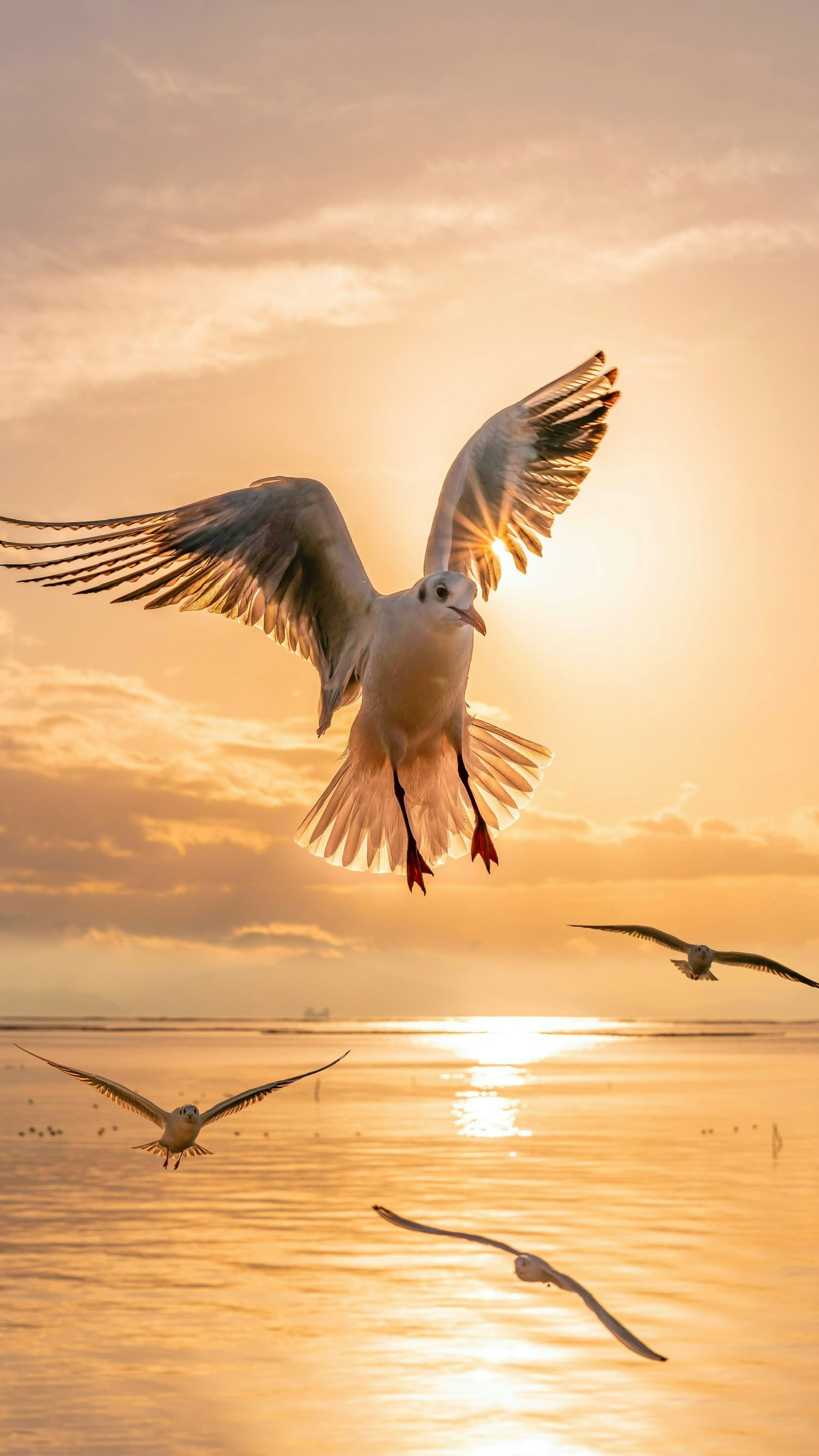 2025-06-catch-the-flow-image-8