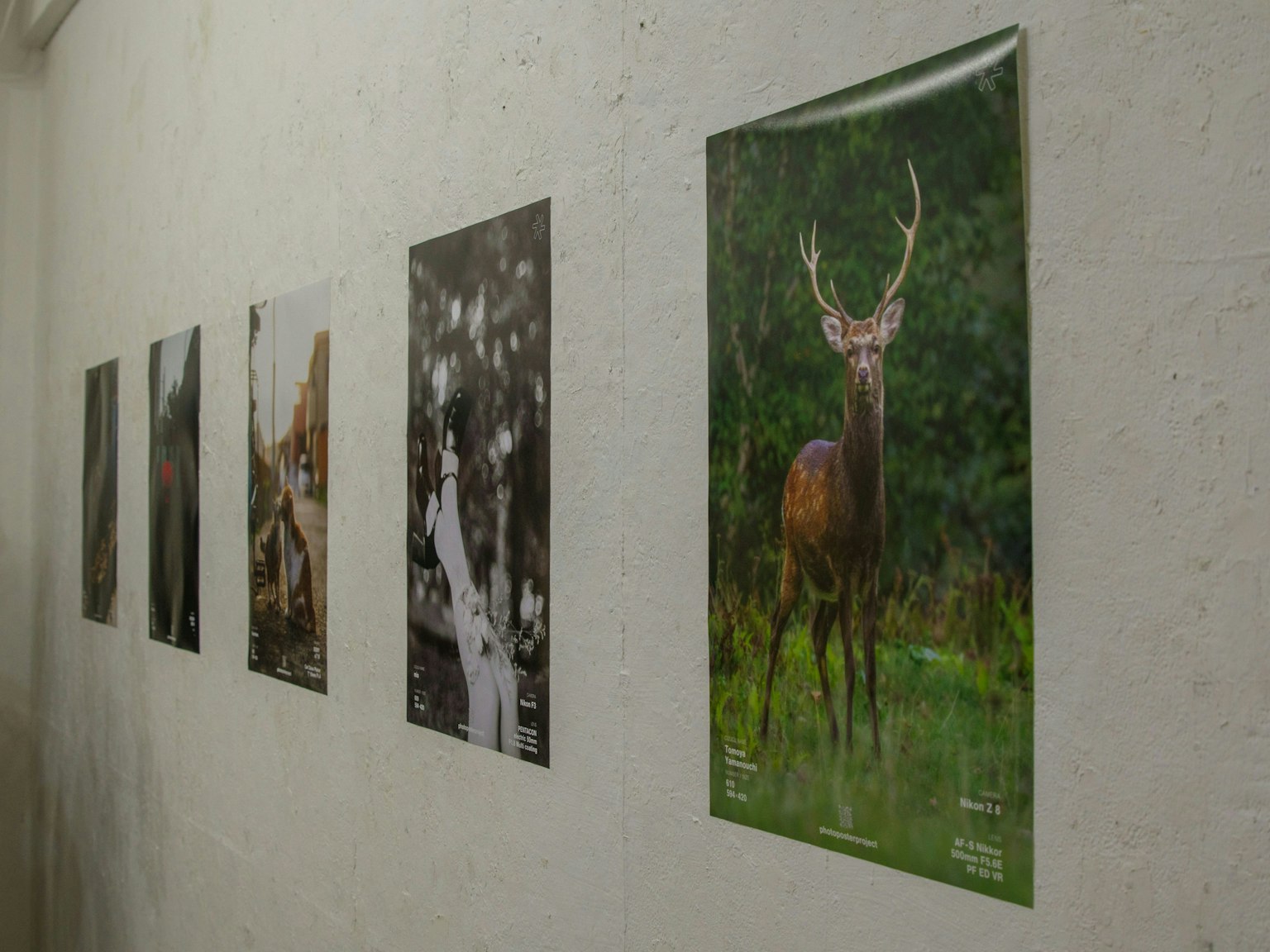 2025-06-photo-poster-project-in-tokyo-report-image-8