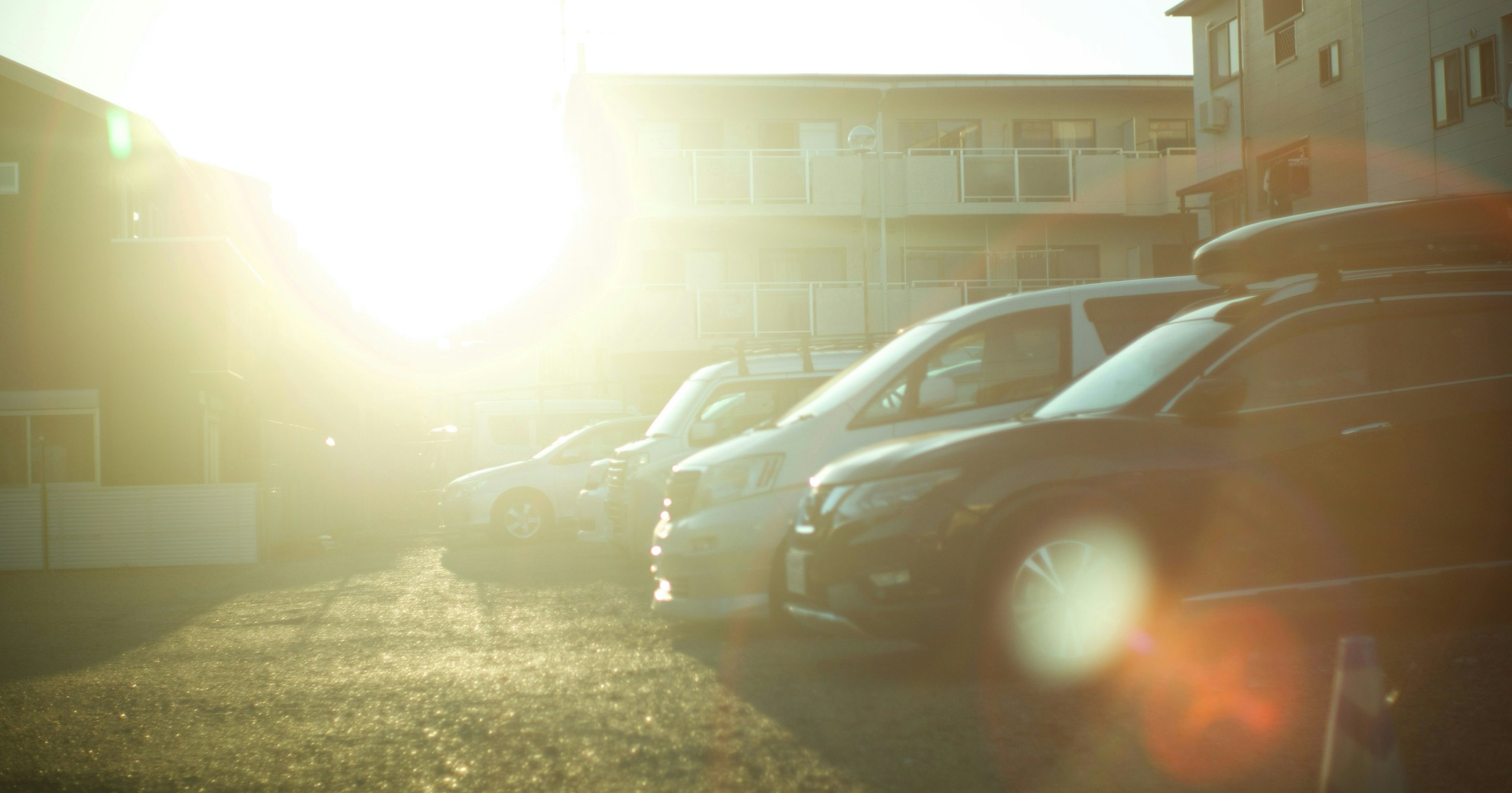 2025-12-backlight-cover-image