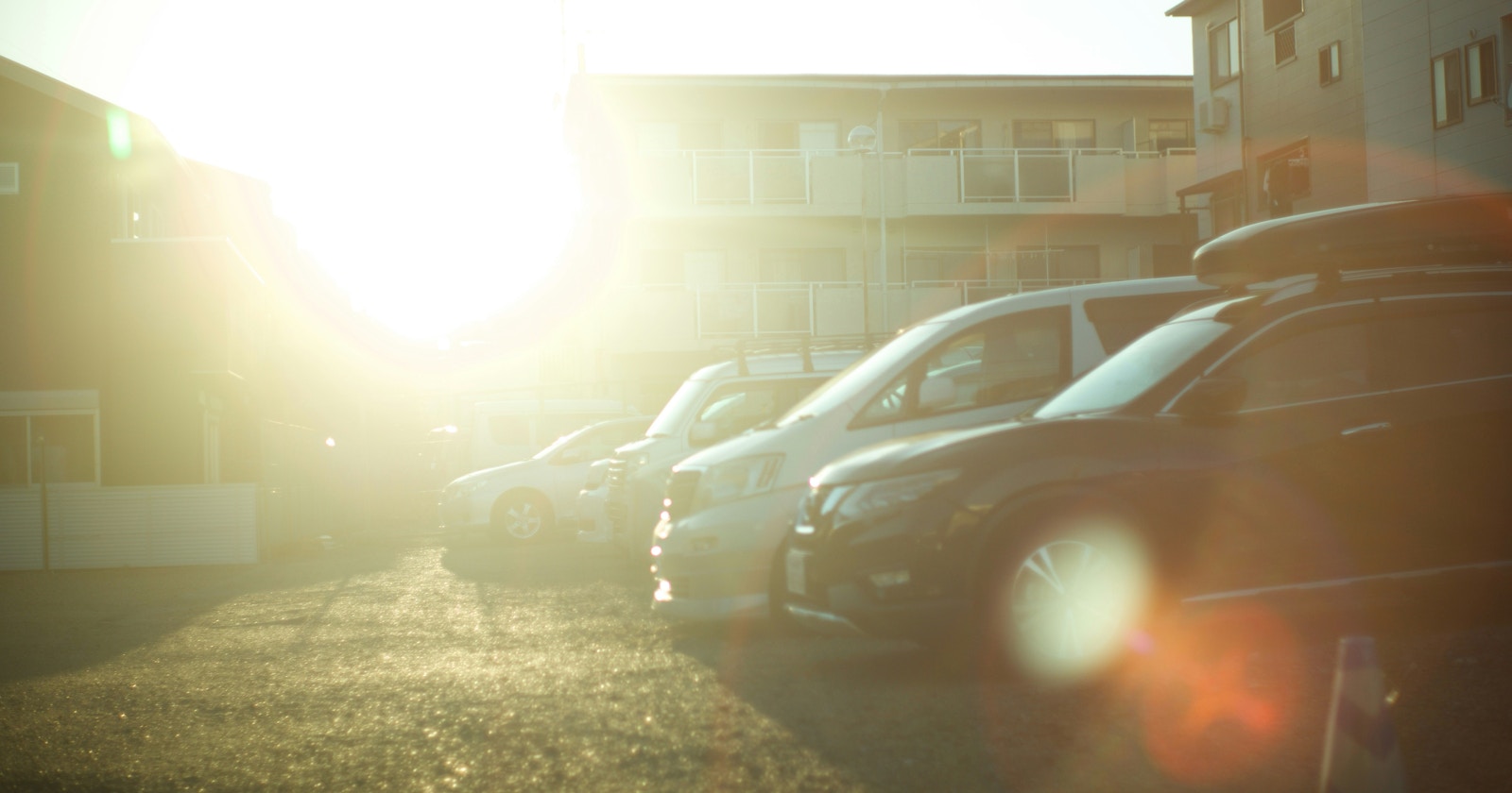 #Backlight | Enjoy Creative Expression with Intentional Backlighting | Focus #574