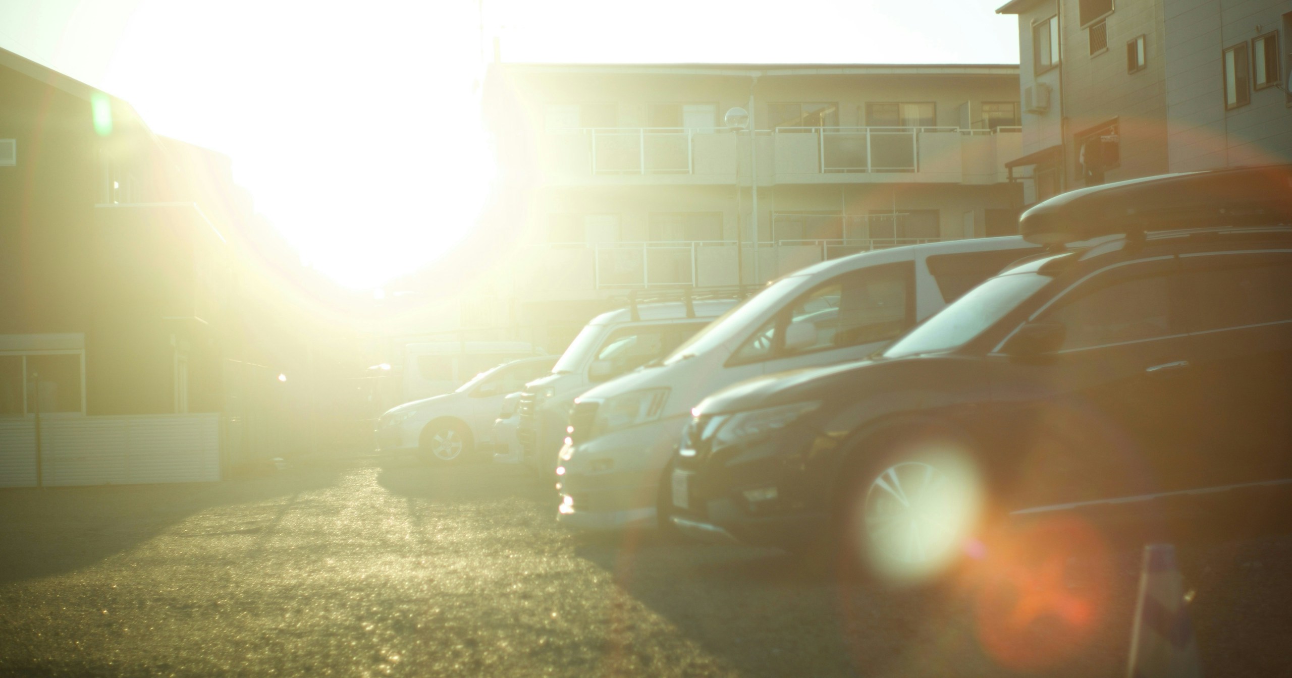 #Backlight | Enjoy Creative Expression with Intentional Backlighting | Focus #574
