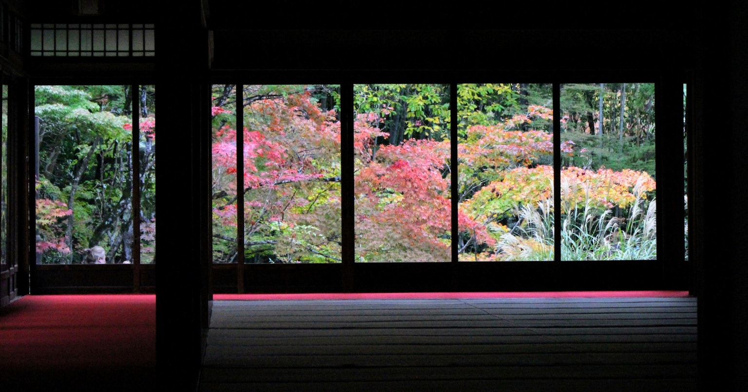 2025-02-frame-report-cover-image