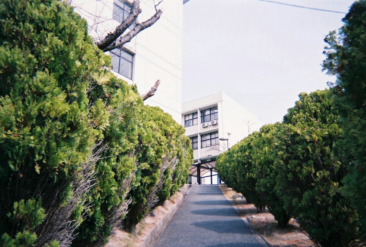 Image by TATSU