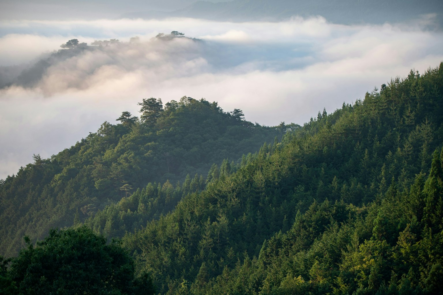 2025-03-encounter-with-camera-image-22