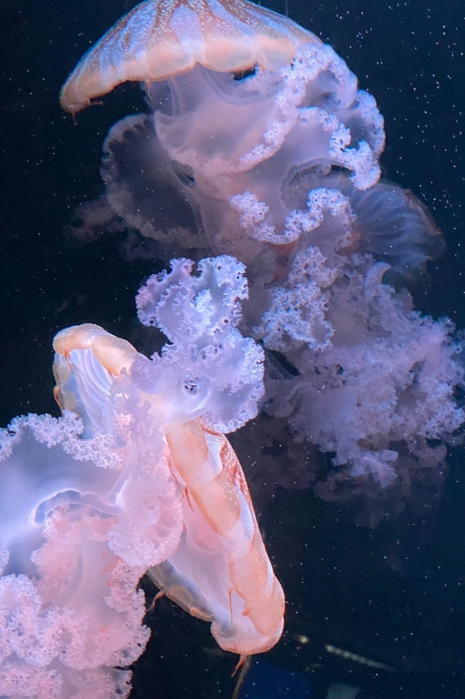 Image by 134340