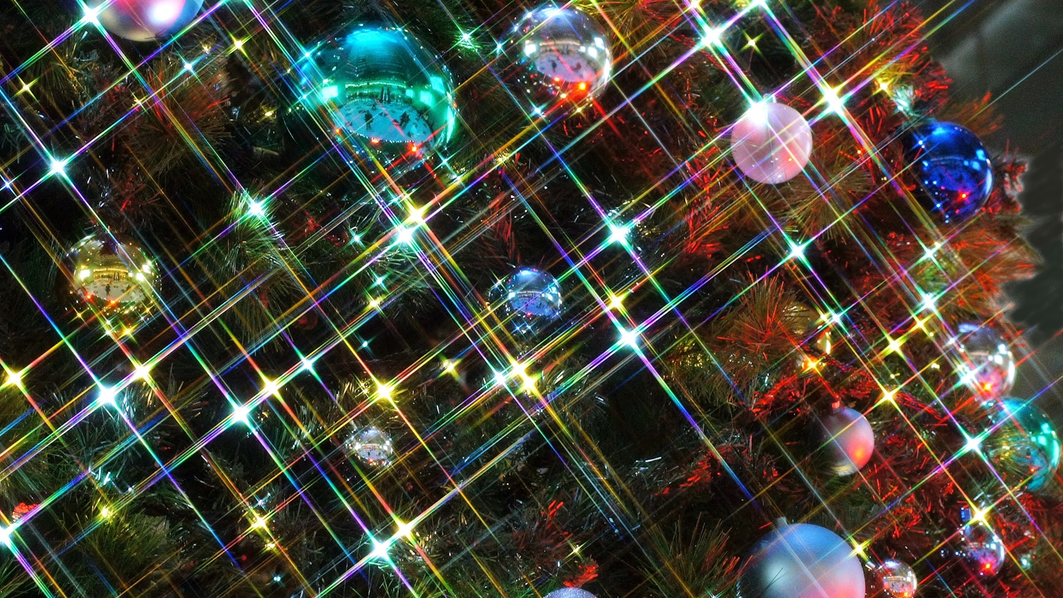 2024-03-filter-photography-image-8