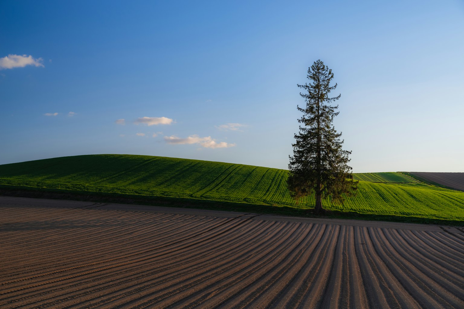 2024-05-landscape-memories-with-music-image-5