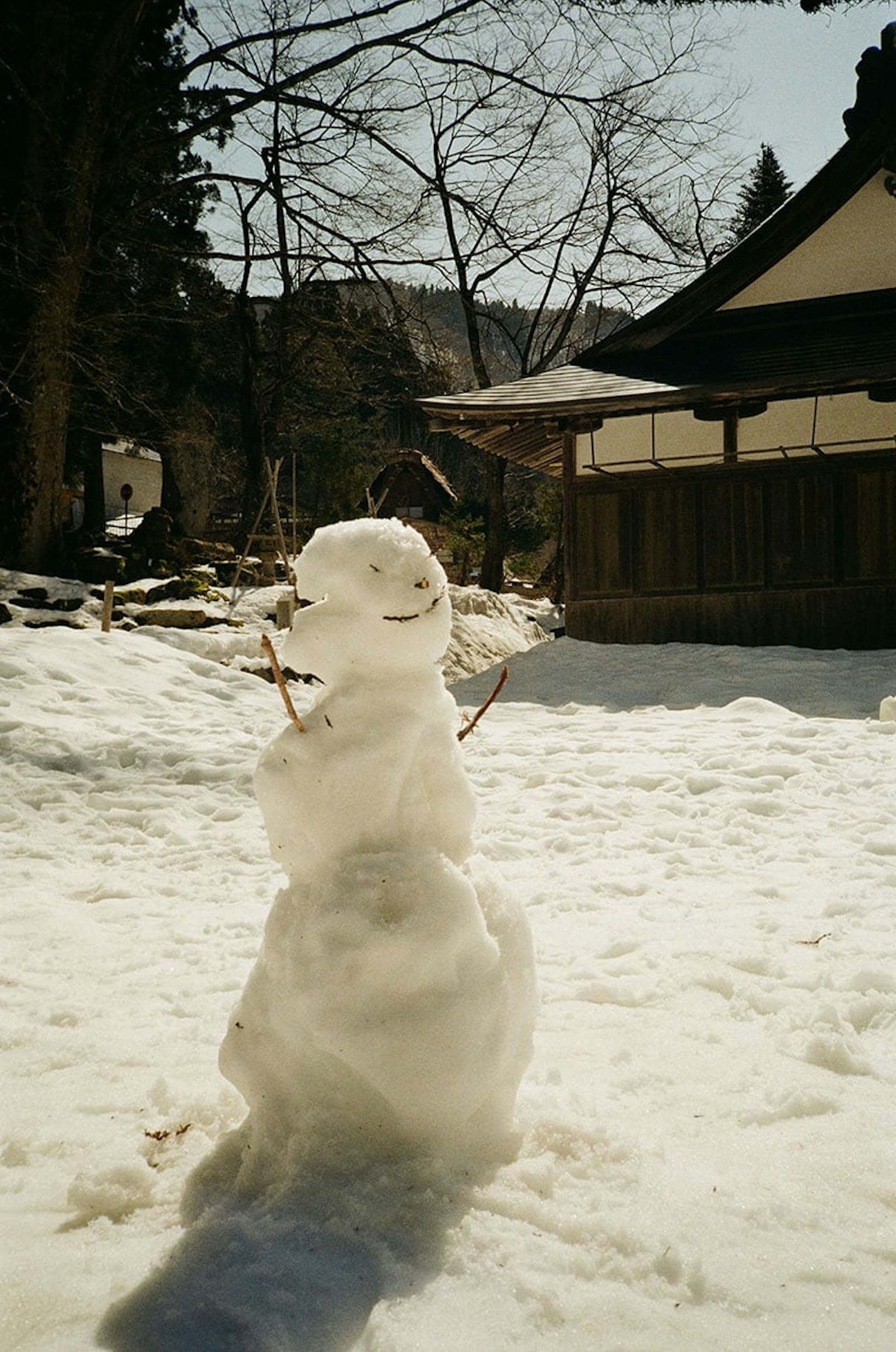 2024-06-rollei-35af-image-13