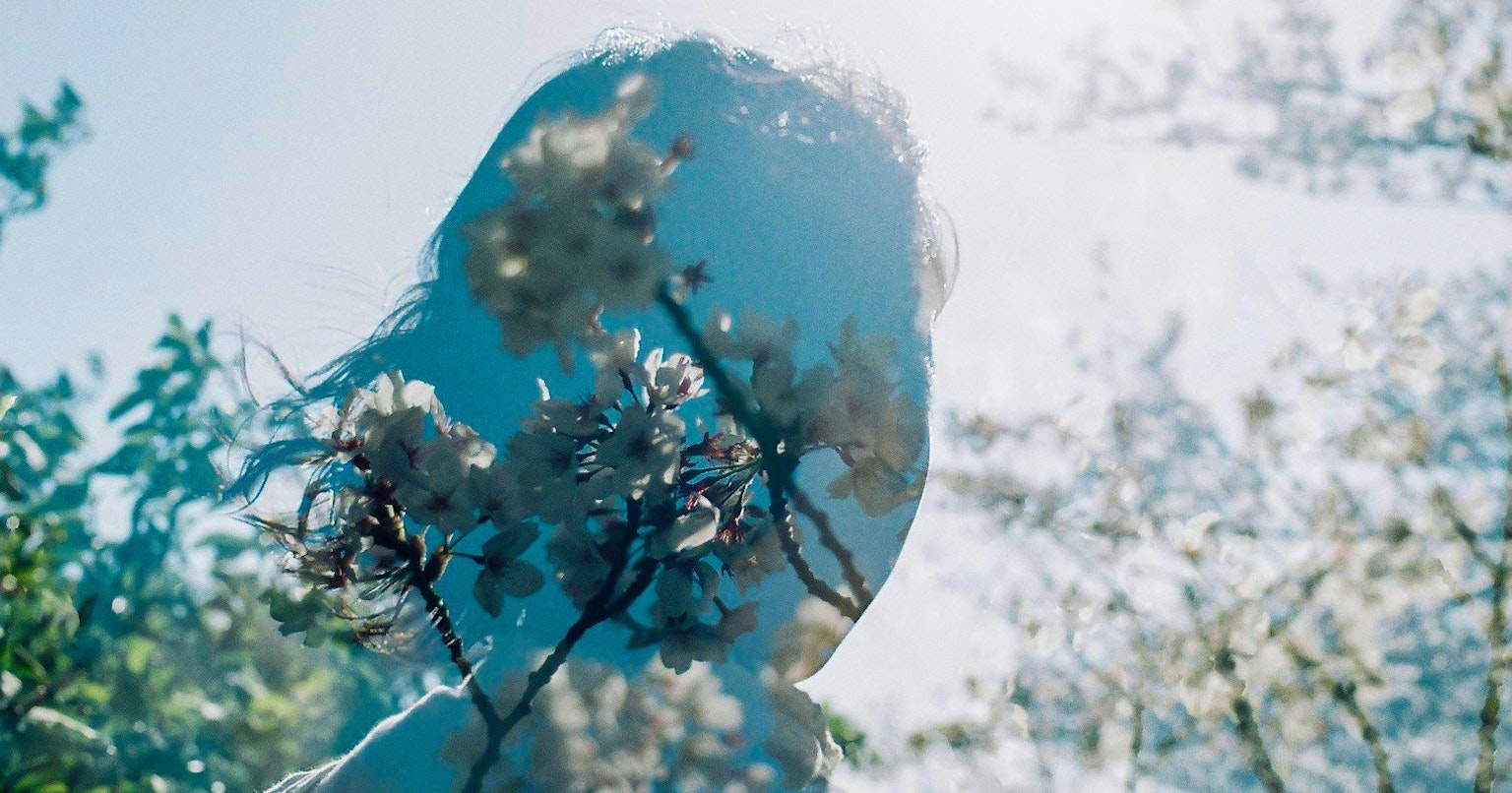 2025-01-self-fim-swap-photography-cover-image