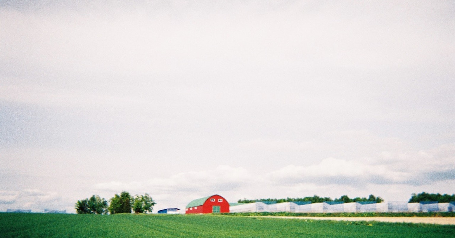 2024-06-pentax-17-cover-image