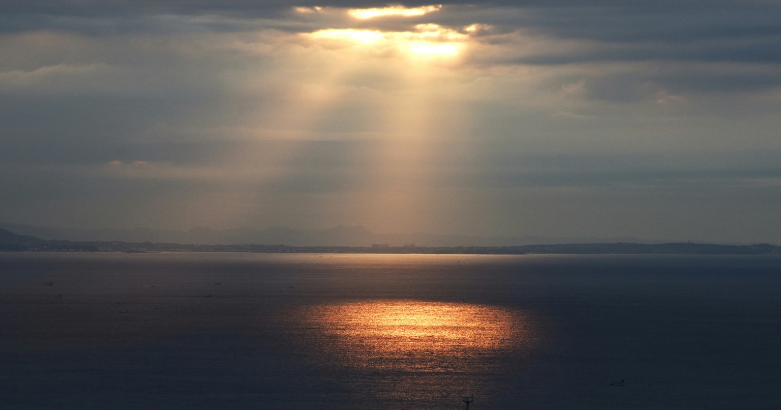 2024-08-natural-light-vs-artificial-light-cover-image