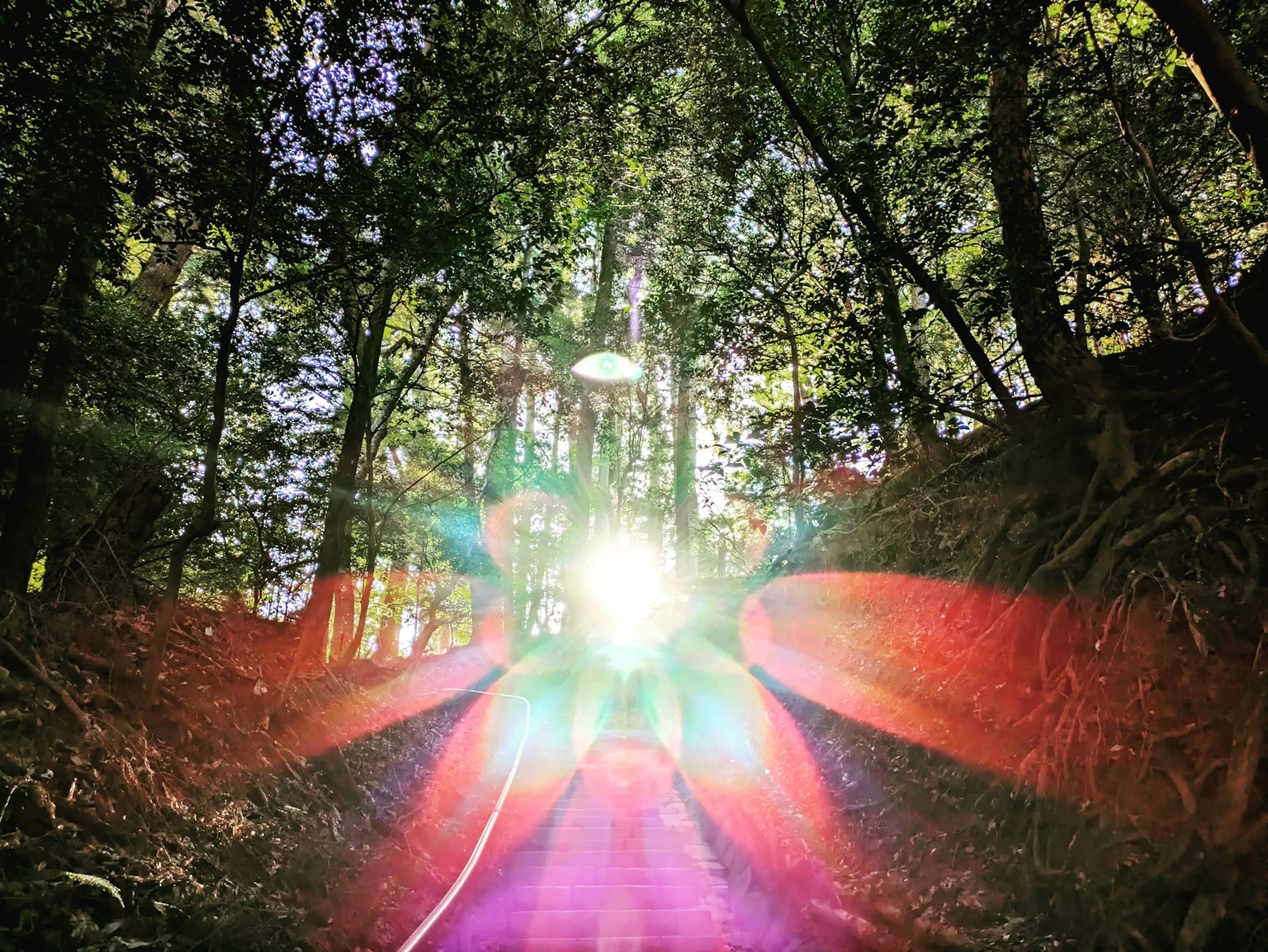 2024-06-light-technic-image-10