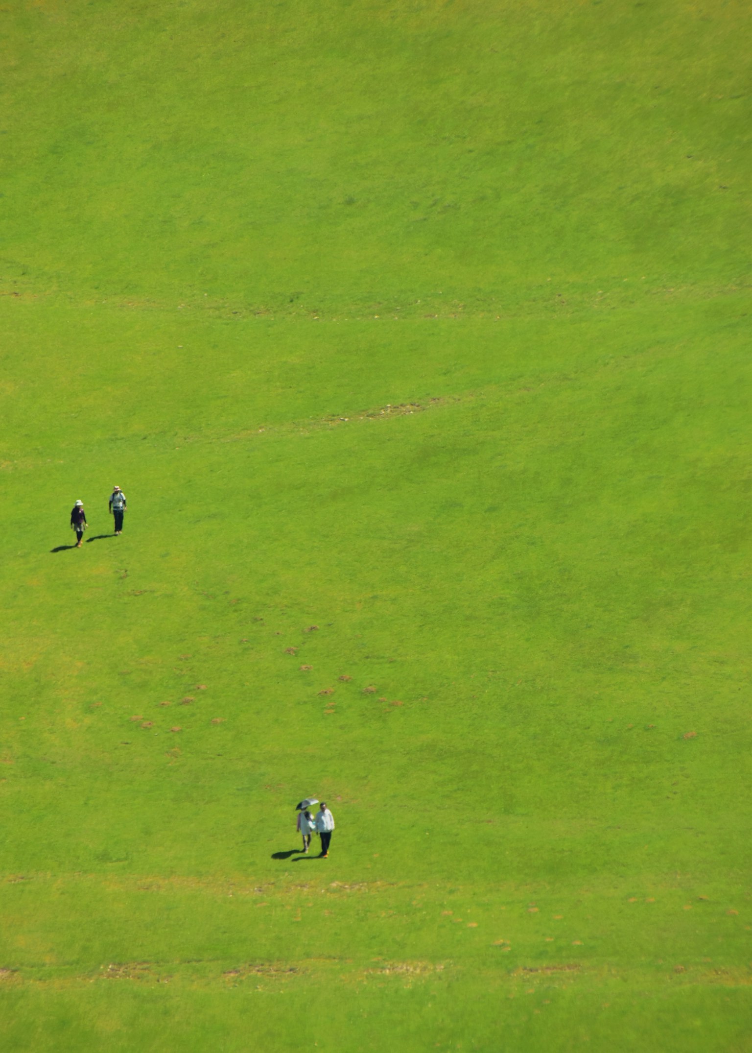 2024-06-negative-space-image-9