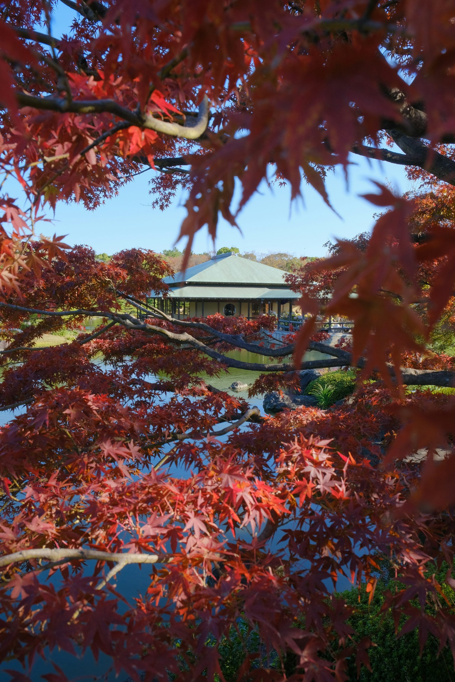 2024-02-sakai-colorful-journey-award-image-9