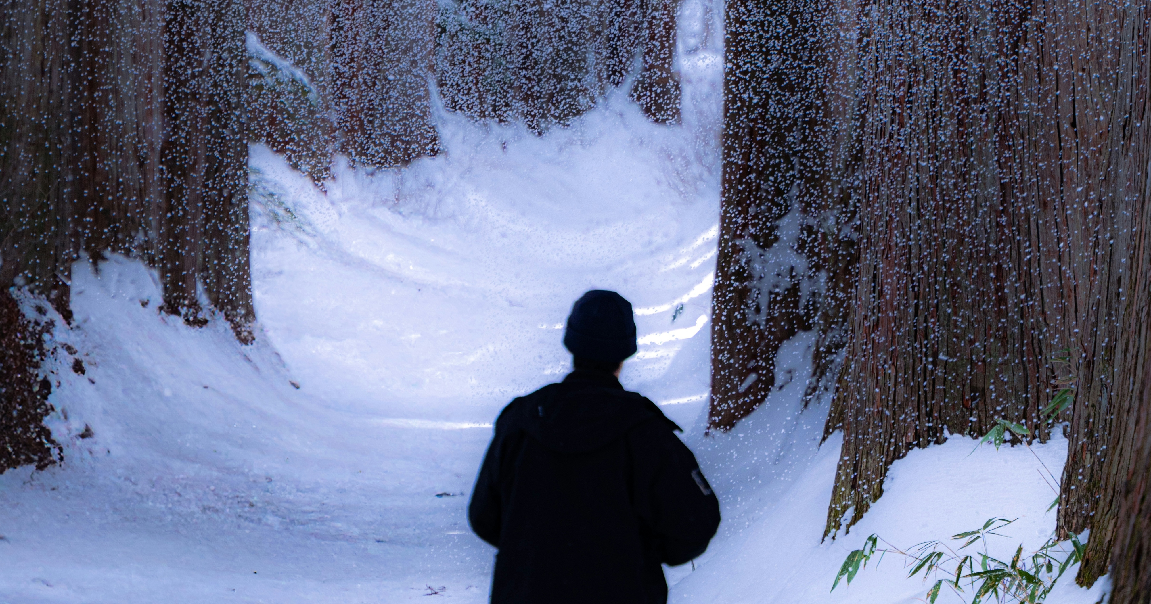 2025-12-december-diary-cover-image