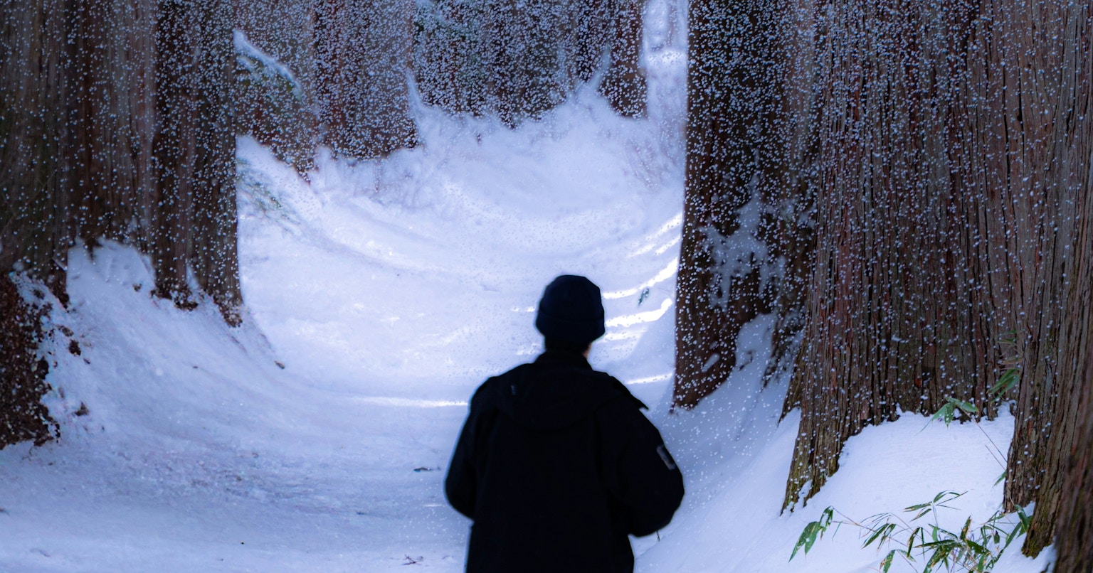 2025-12-december-diary-cover-image