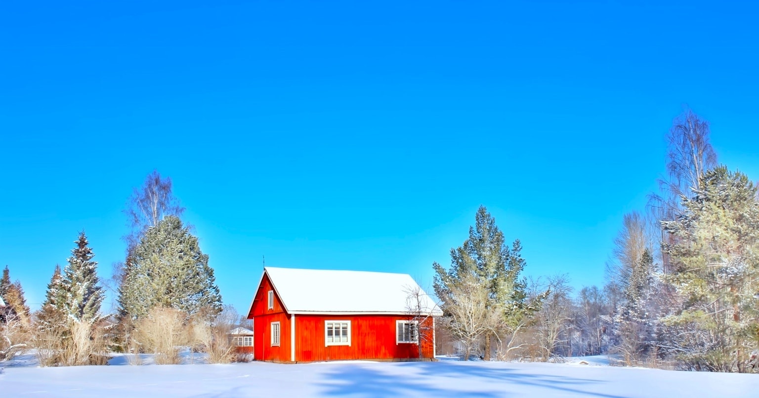 2024-04-daily-palette-award-cover-image