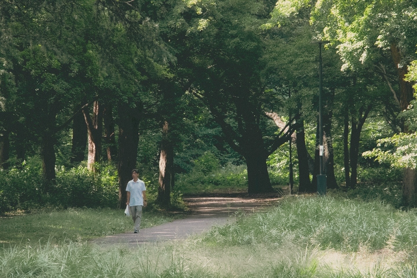 2026-05-greenery-image-4