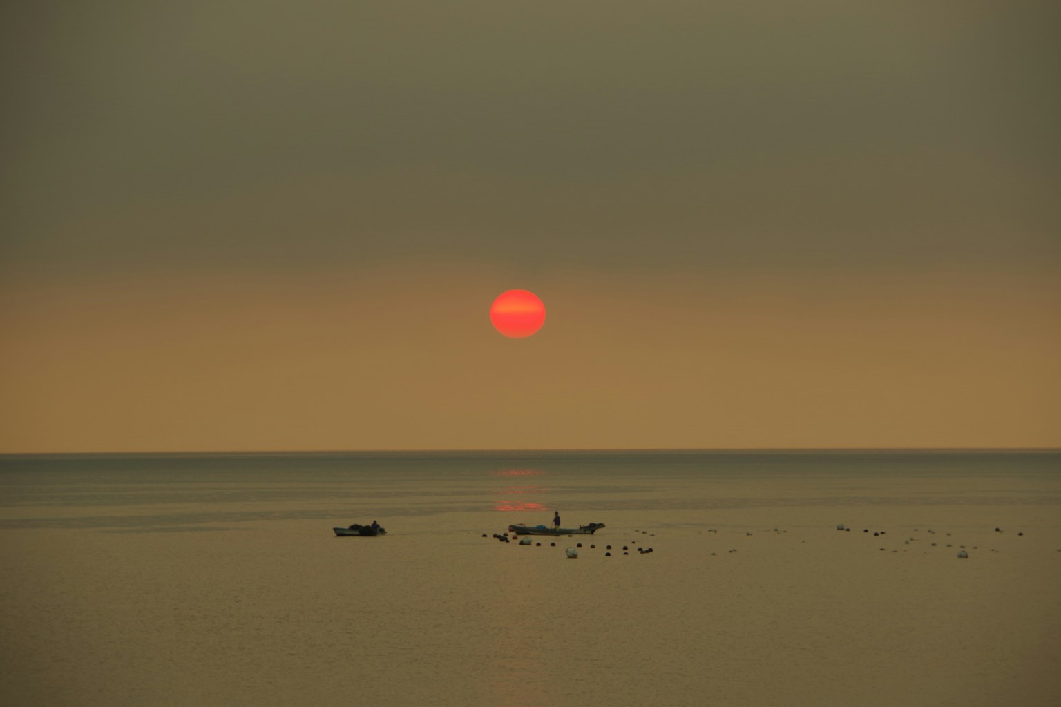 2024-03-solar-eclipse-image-2