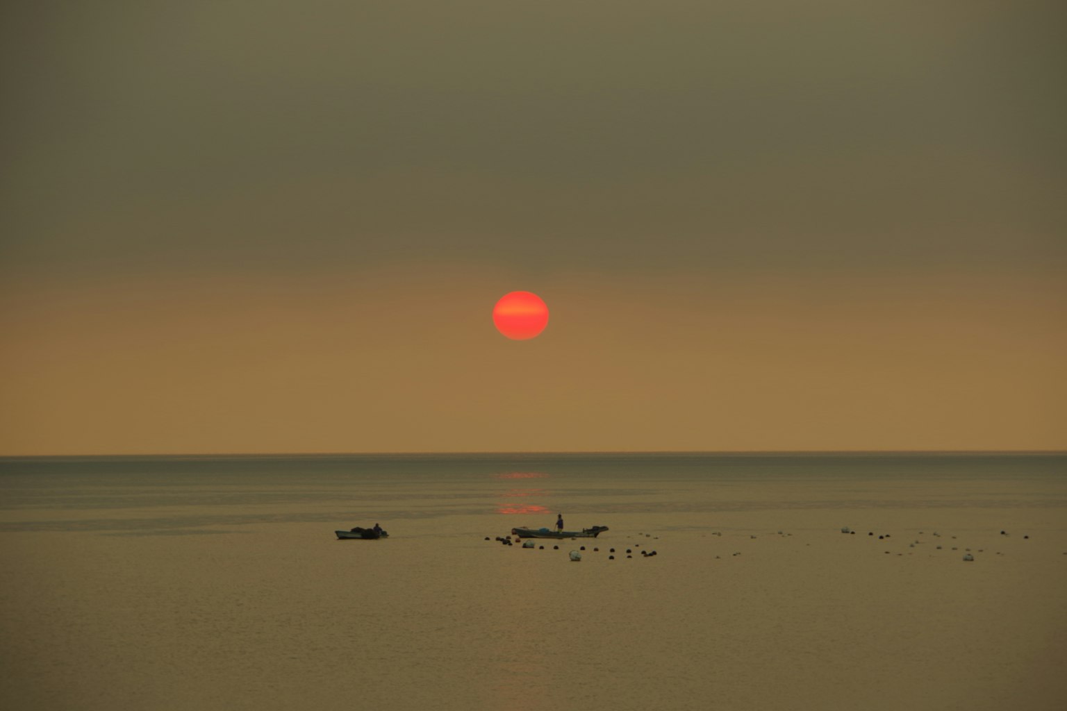 2024-03-solar-eclipse-image-2