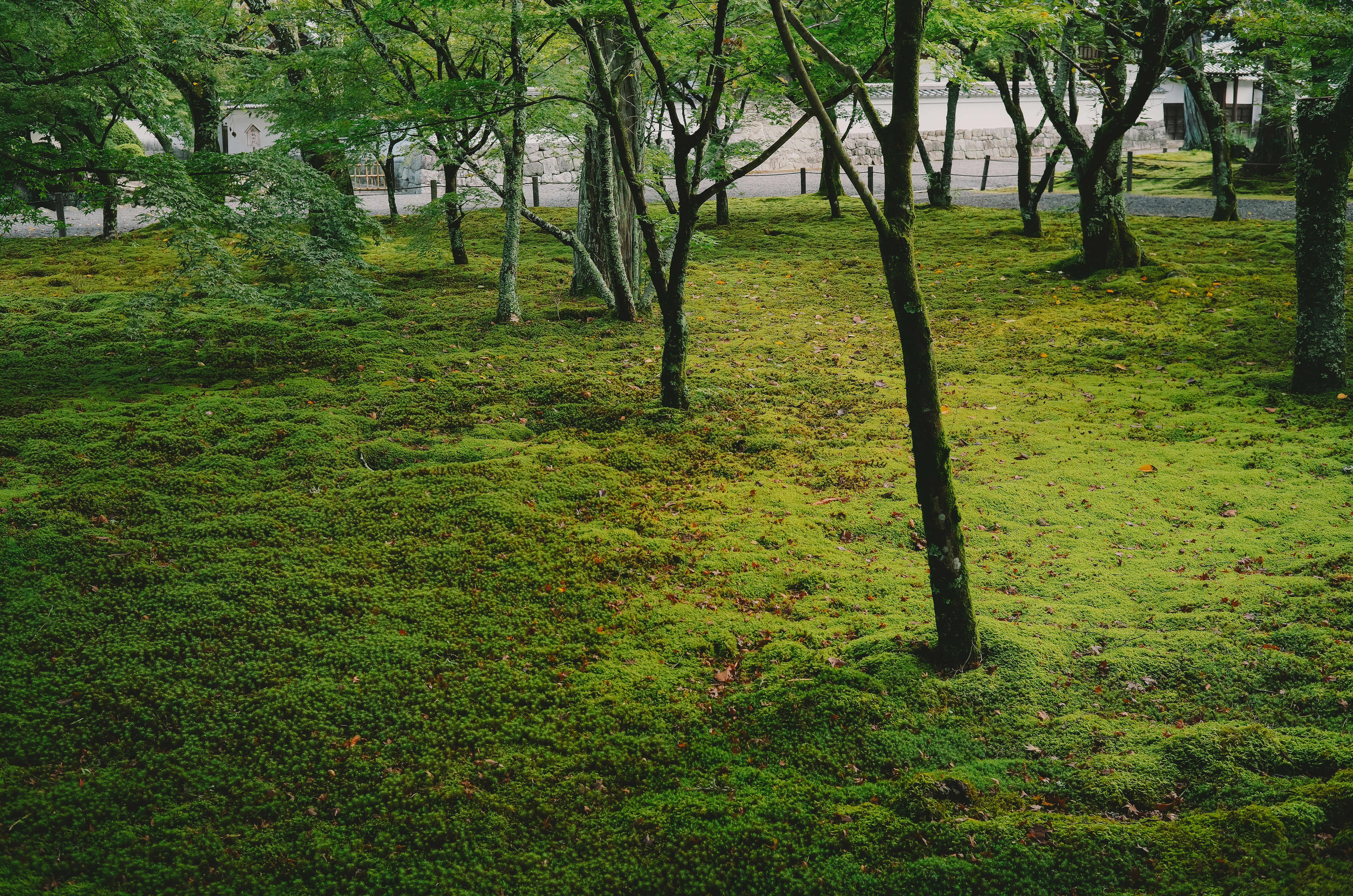 2026-05-ppp-in-kyoto-cover-image