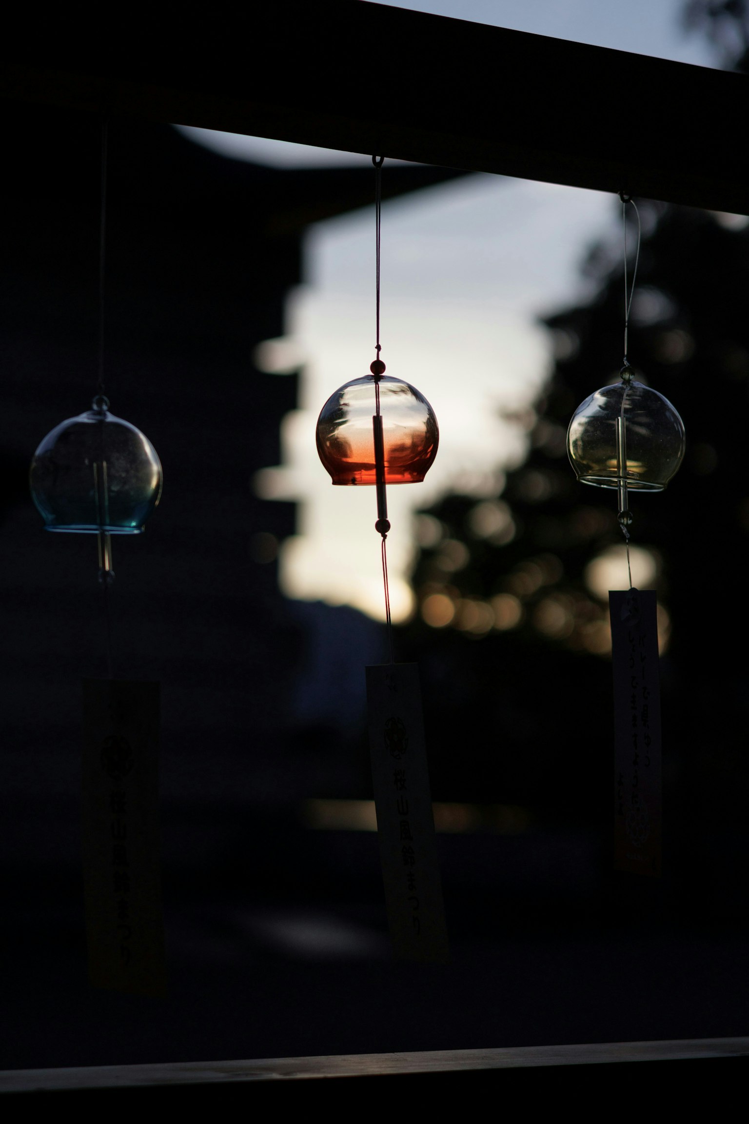 2025-08-pick-up-photos-no-169-173-image-3