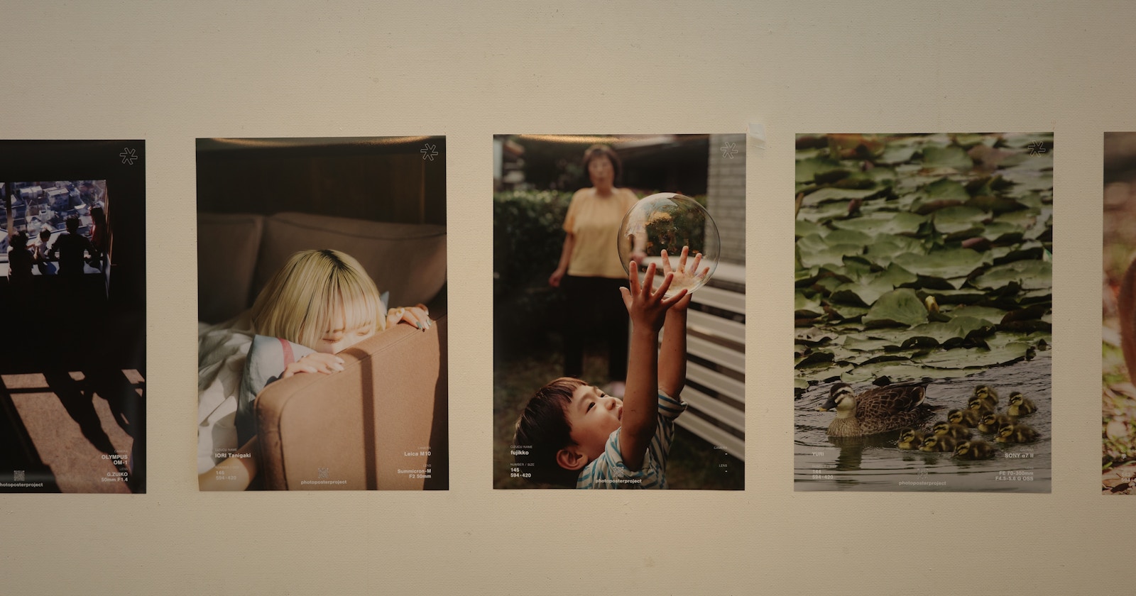 photo poster project | Deepening Understanding of Your Own Photos by fujikko | ISSUE #52