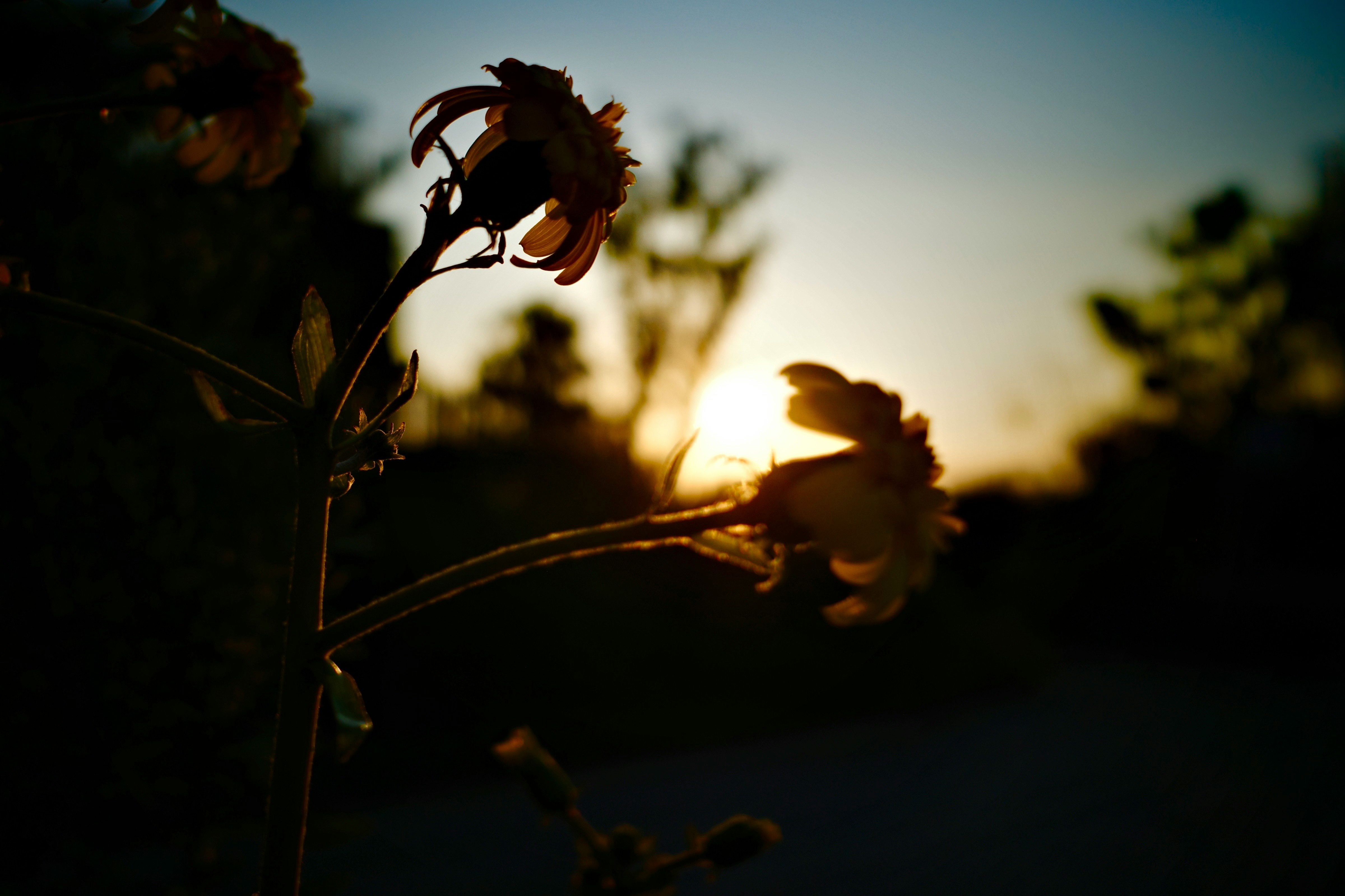 2025-12-reflection-on-2025-cover-image