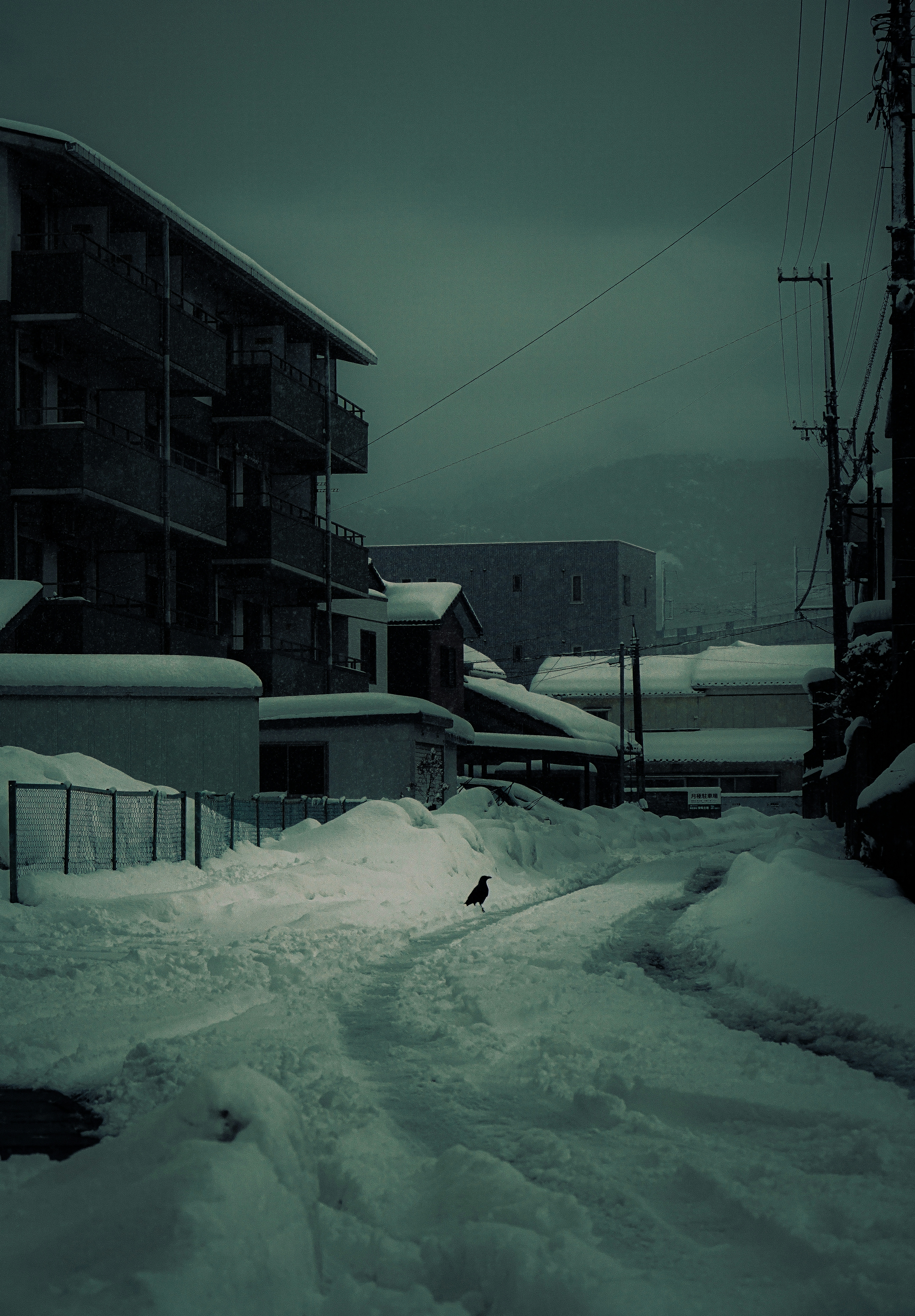 2026-01-photography-in-white-image-4