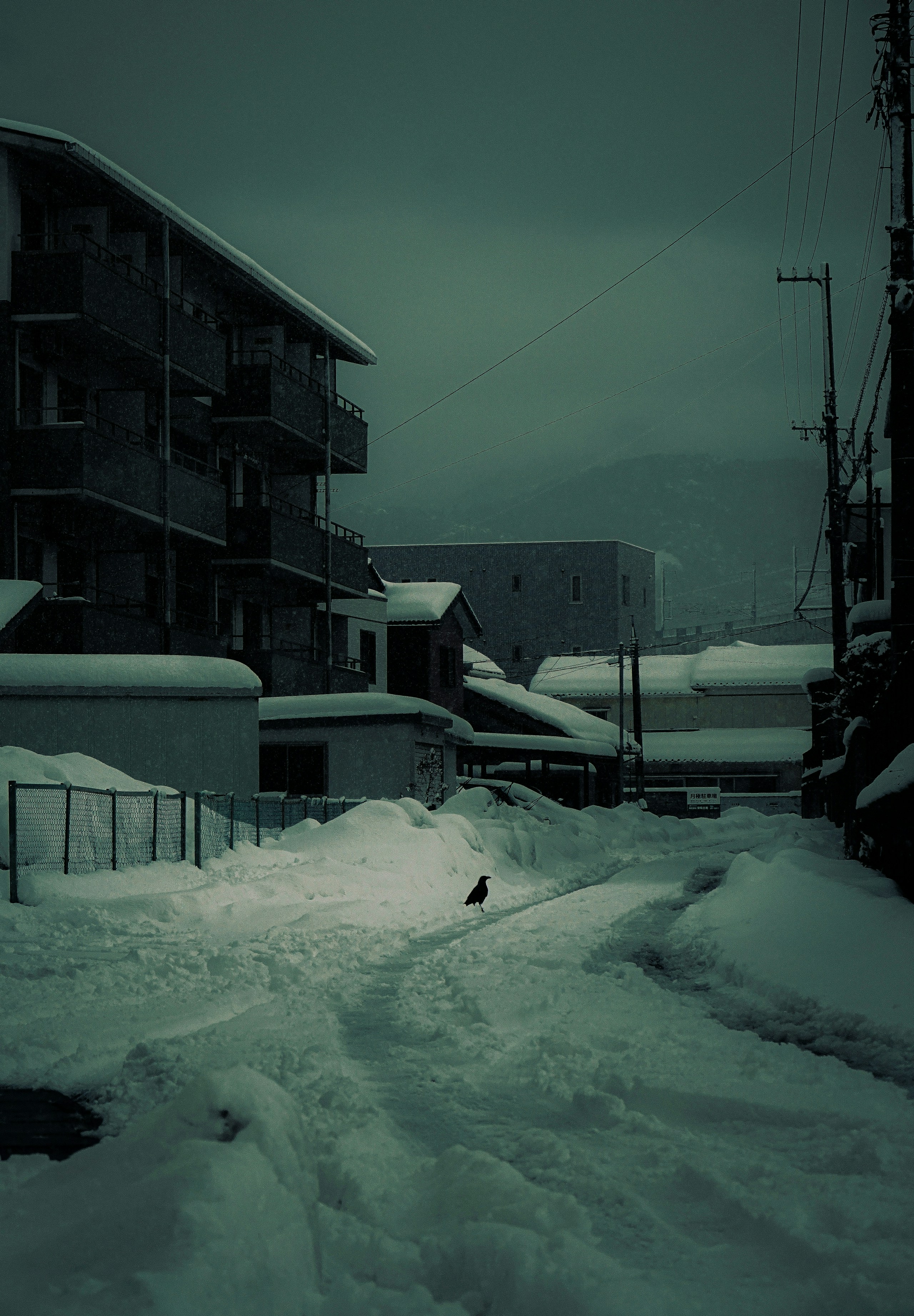 2026-01-photography-in-white-image-4