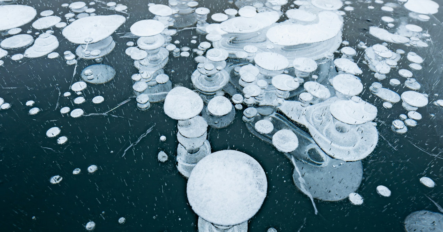 2025-1-photo-contest-pr-1-cover-image