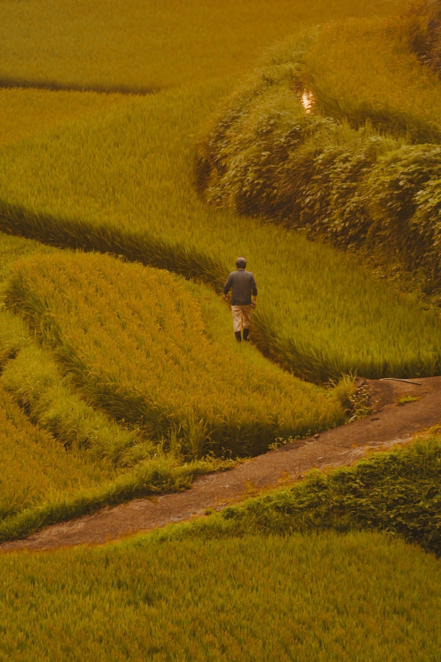 2025-10-gradient-of-time-award-image-15