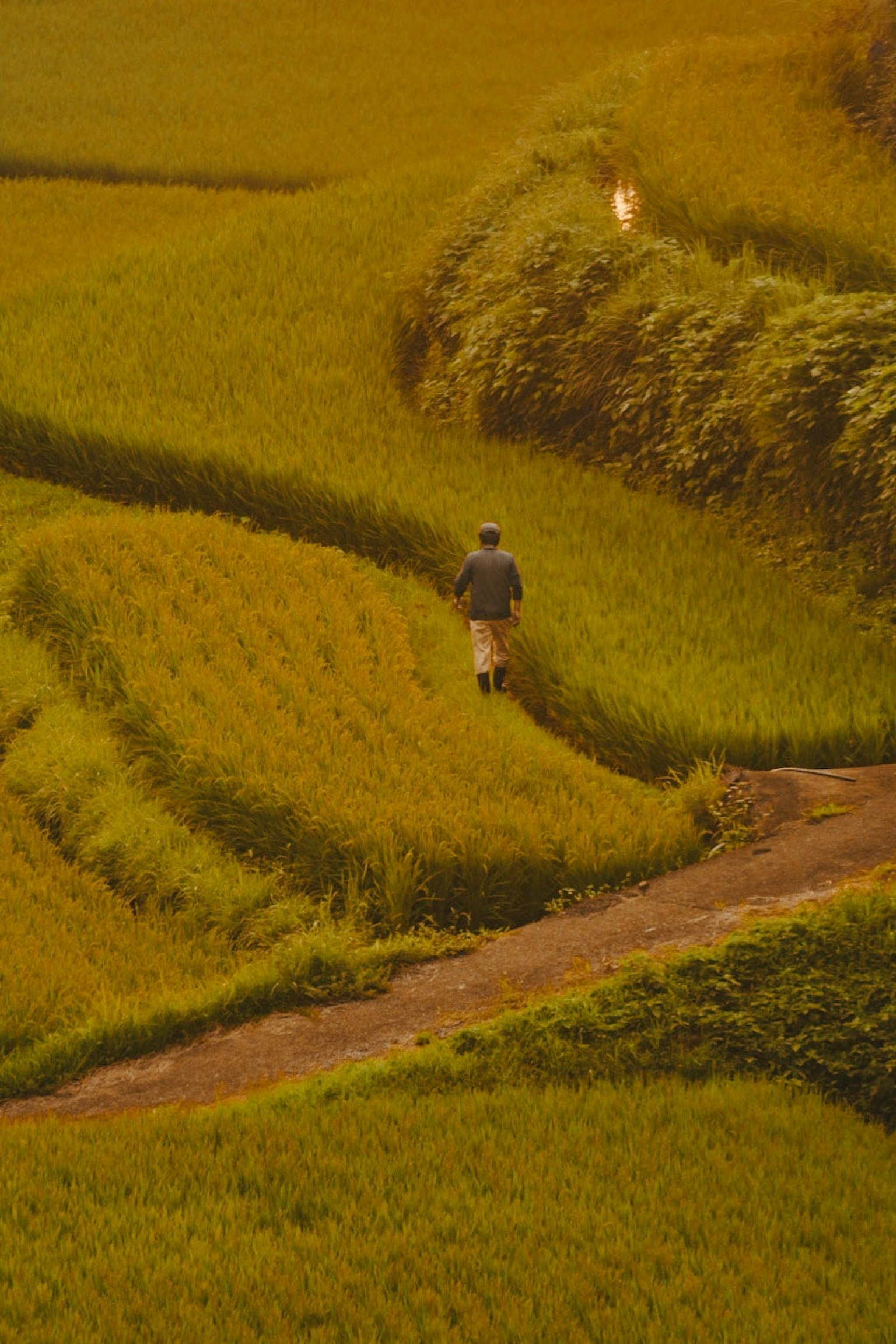 2025-10-gradient-of-time-award-image-15