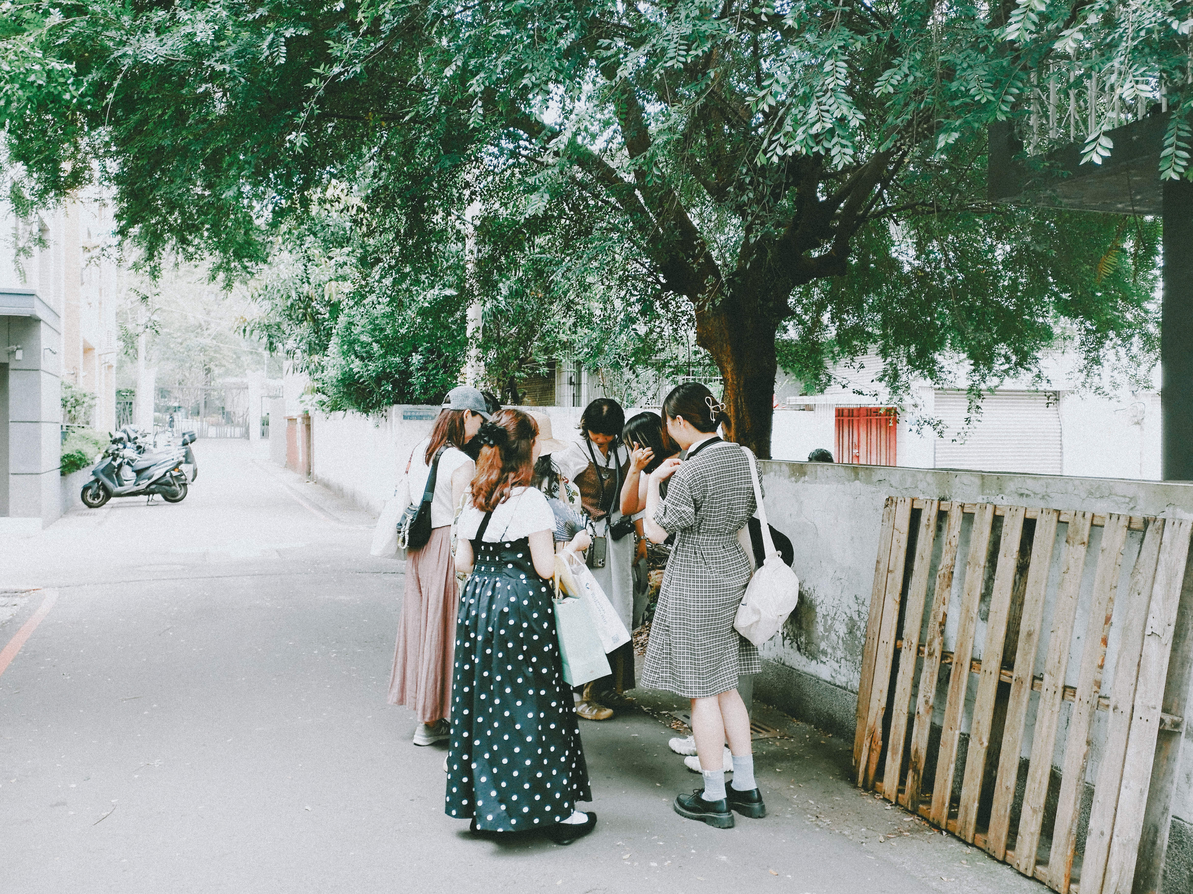 2026-06-camell-photography-community-image-21