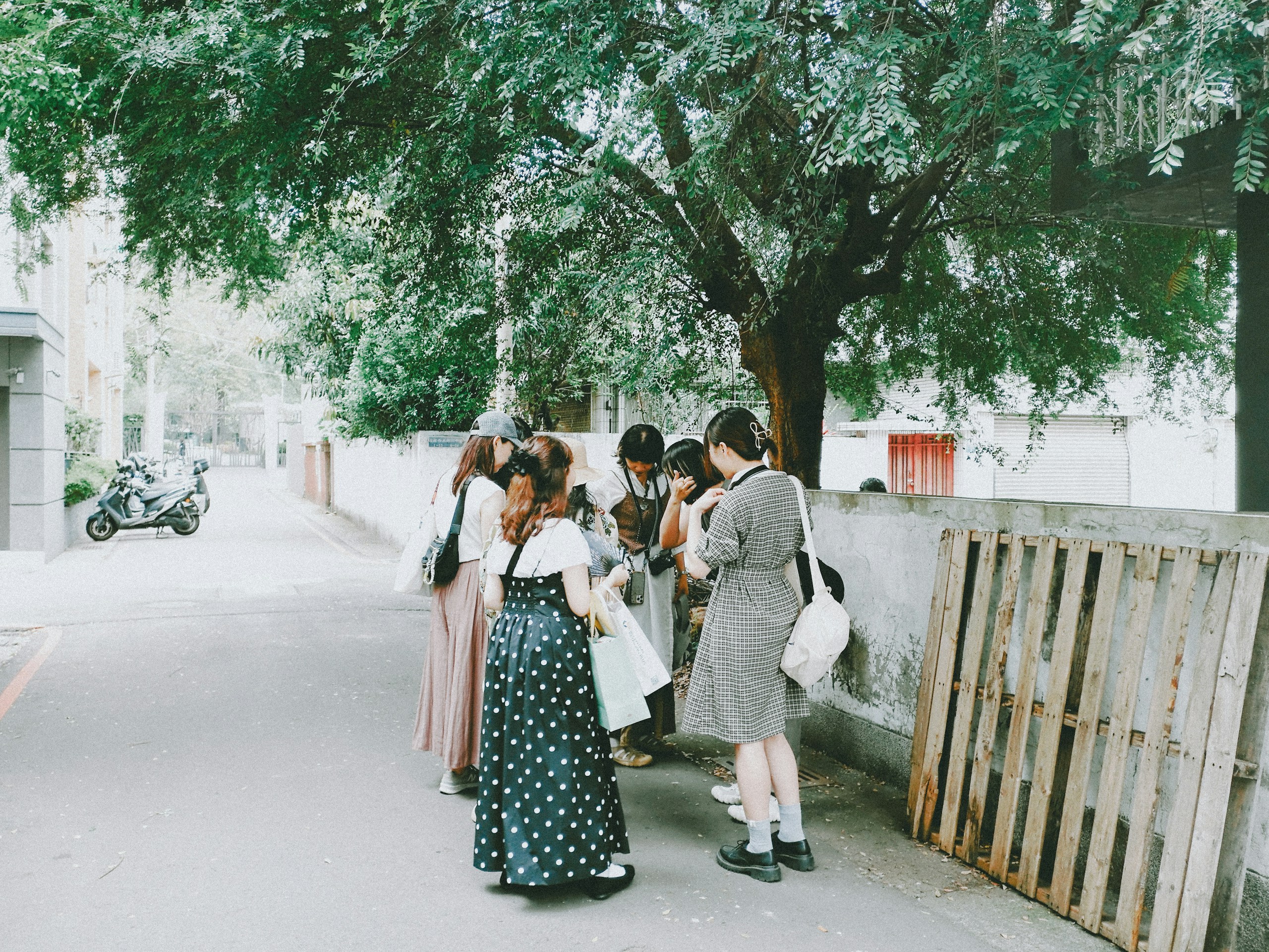 2026-06-camell-photography-community-image-21