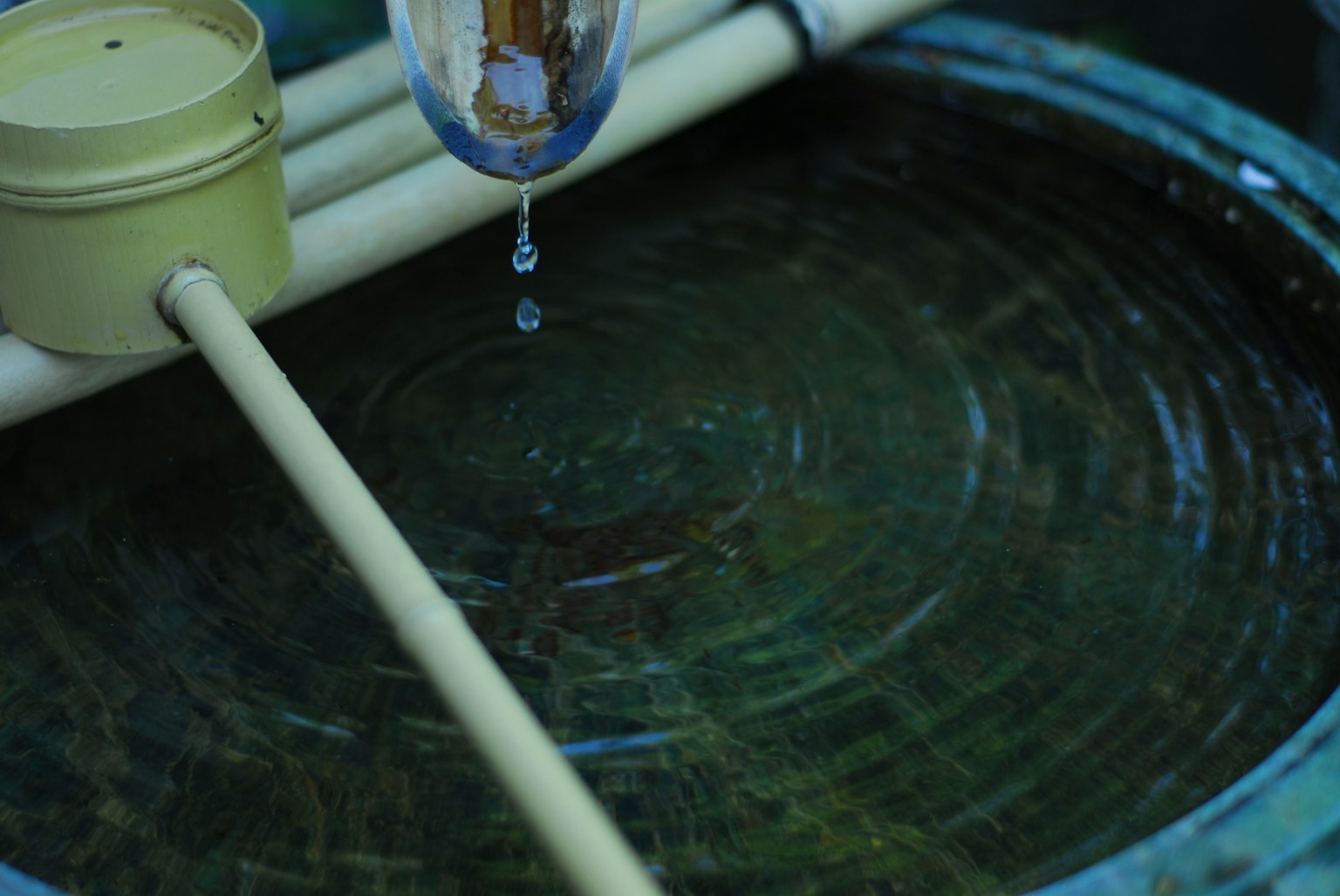 2024-04-water-image-10