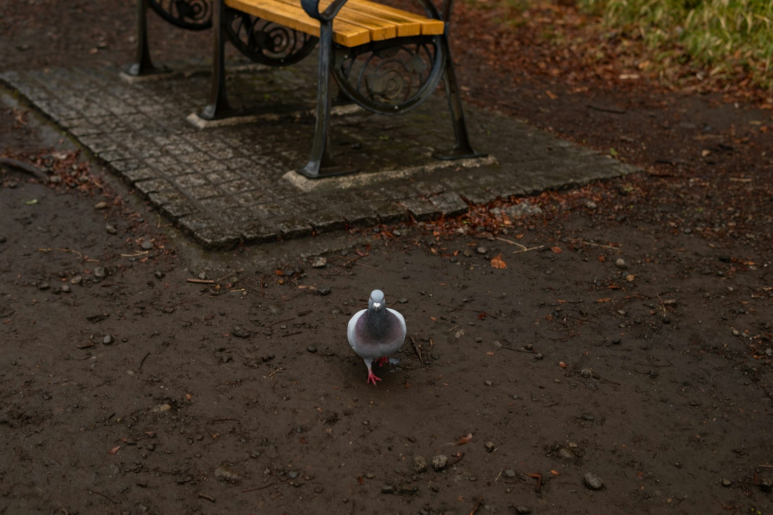 2024-03-march-diary-image-6