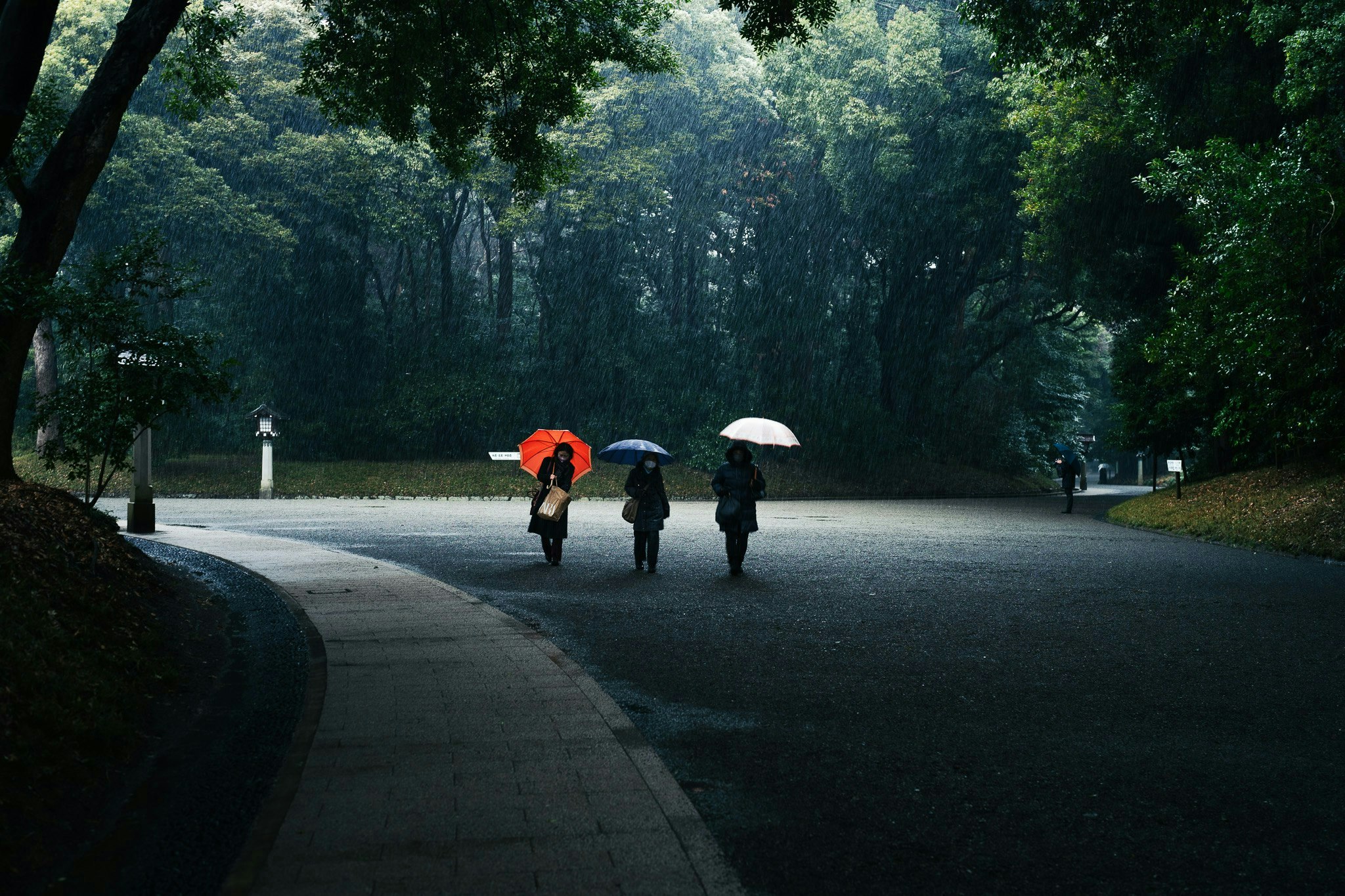 2025-07-living-with-rain-award-image-6
